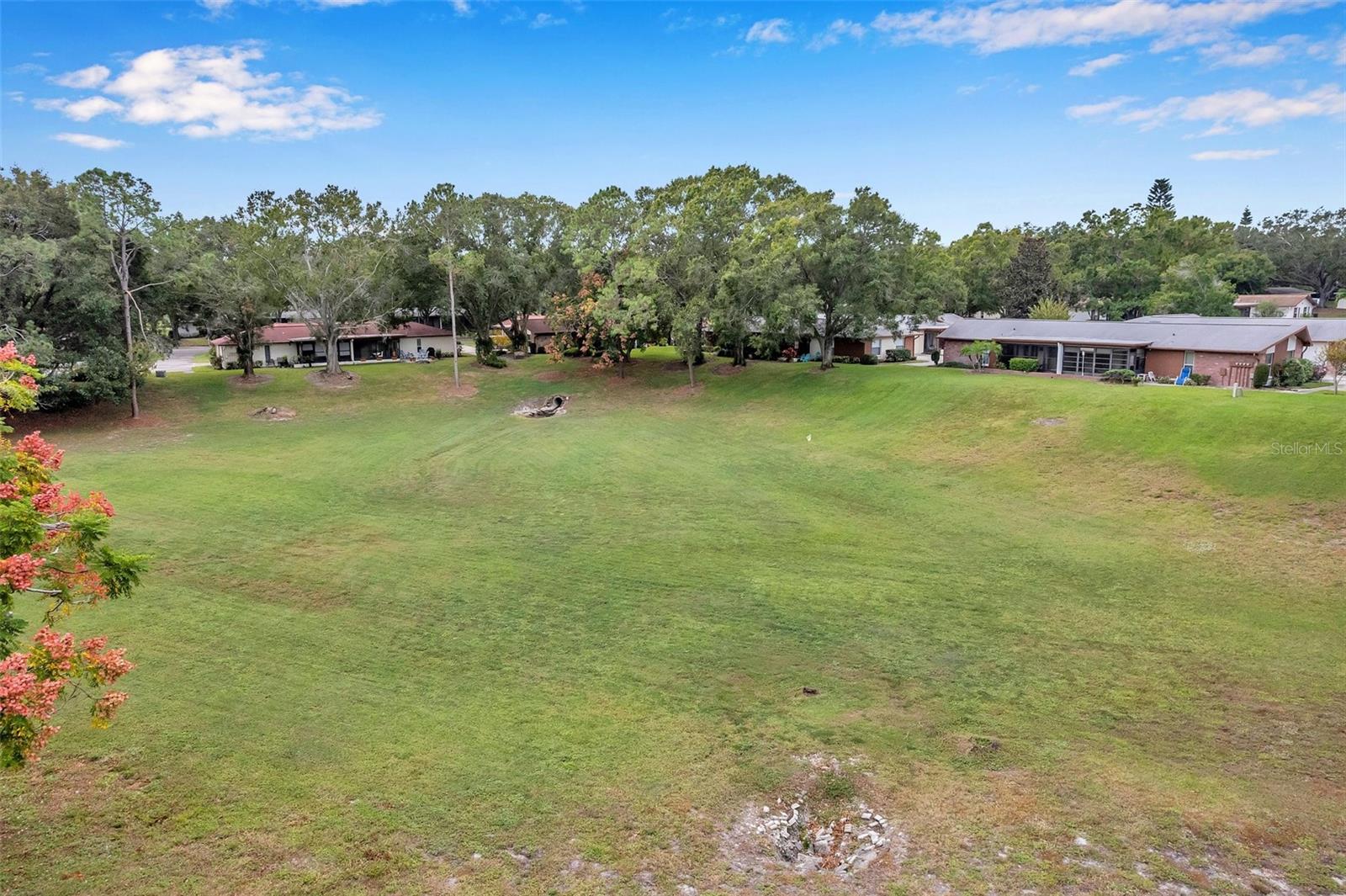 2291 SHELLY DRIVE DR #D, PALM HARBOR, FL, 34684