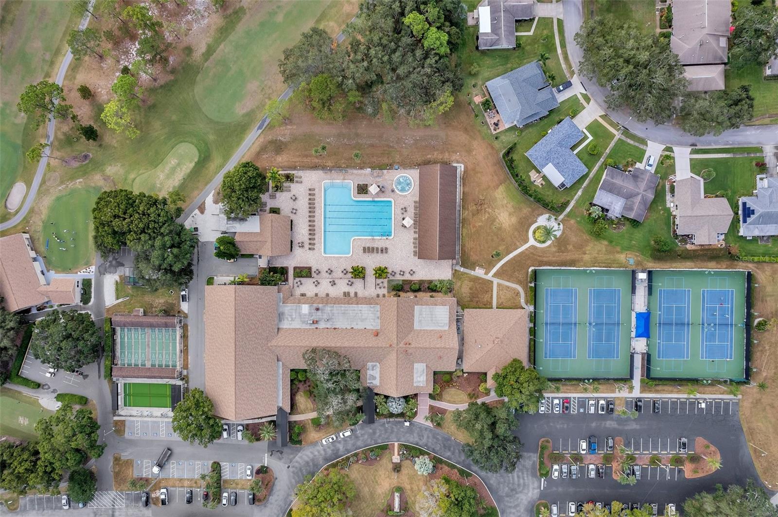 2291 SHELLY DRIVE DR #D, PALM HARBOR, FL, 34684