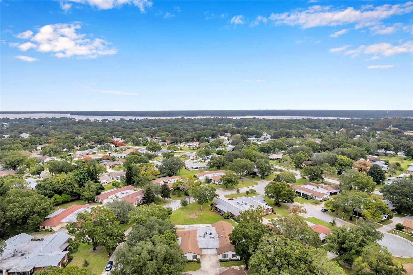 2291 SHELLY DRIVE DR #D, PALM HARBOR, FL, 34684