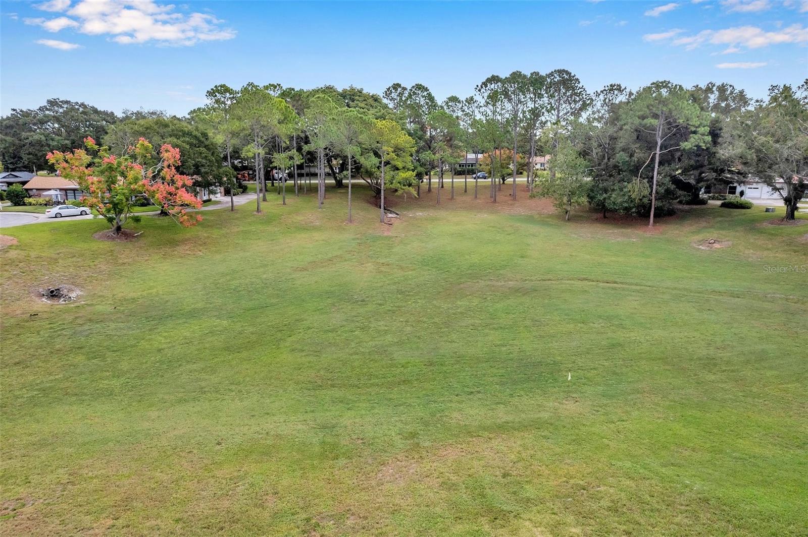 2291 SHELLY DRIVE DR #D, PALM HARBOR, FL, 34684