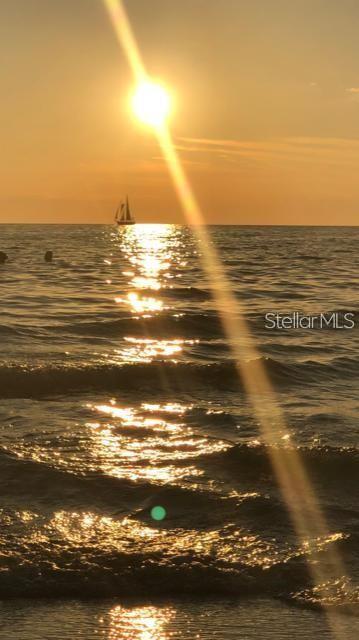 2291 SHELLY DRIVE DR #D, PALM HARBOR, FL, 34684