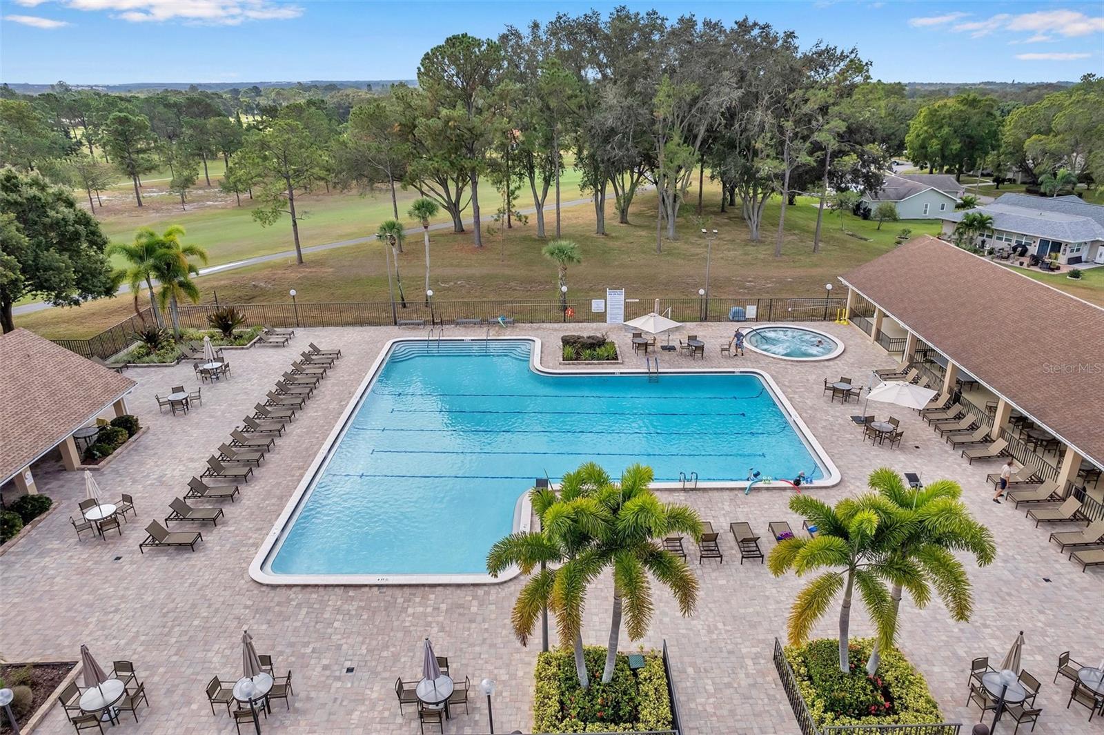 2291 SHELLY DRIVE DR #D, PALM HARBOR, FL, 34684