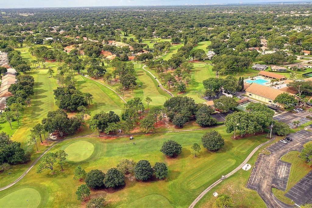 2291 SHELLY DRIVE DR #D, PALM HARBOR, FL, 34684