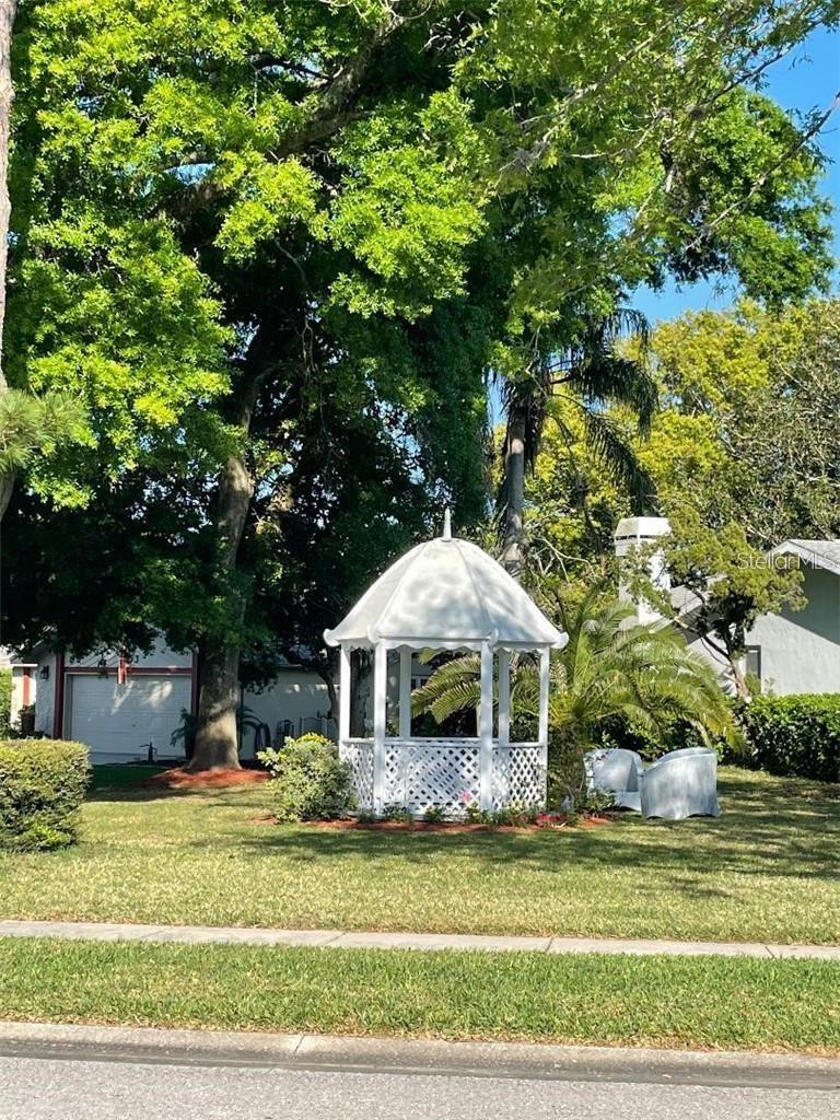 2291 SHELLY DRIVE DR #D, PALM HARBOR, FL, 34684