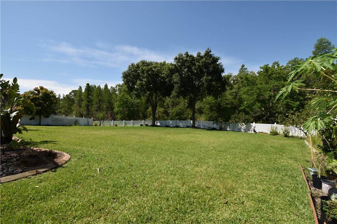 5516 GARDEN ARBOR DR, LUTZ, FL, 33558