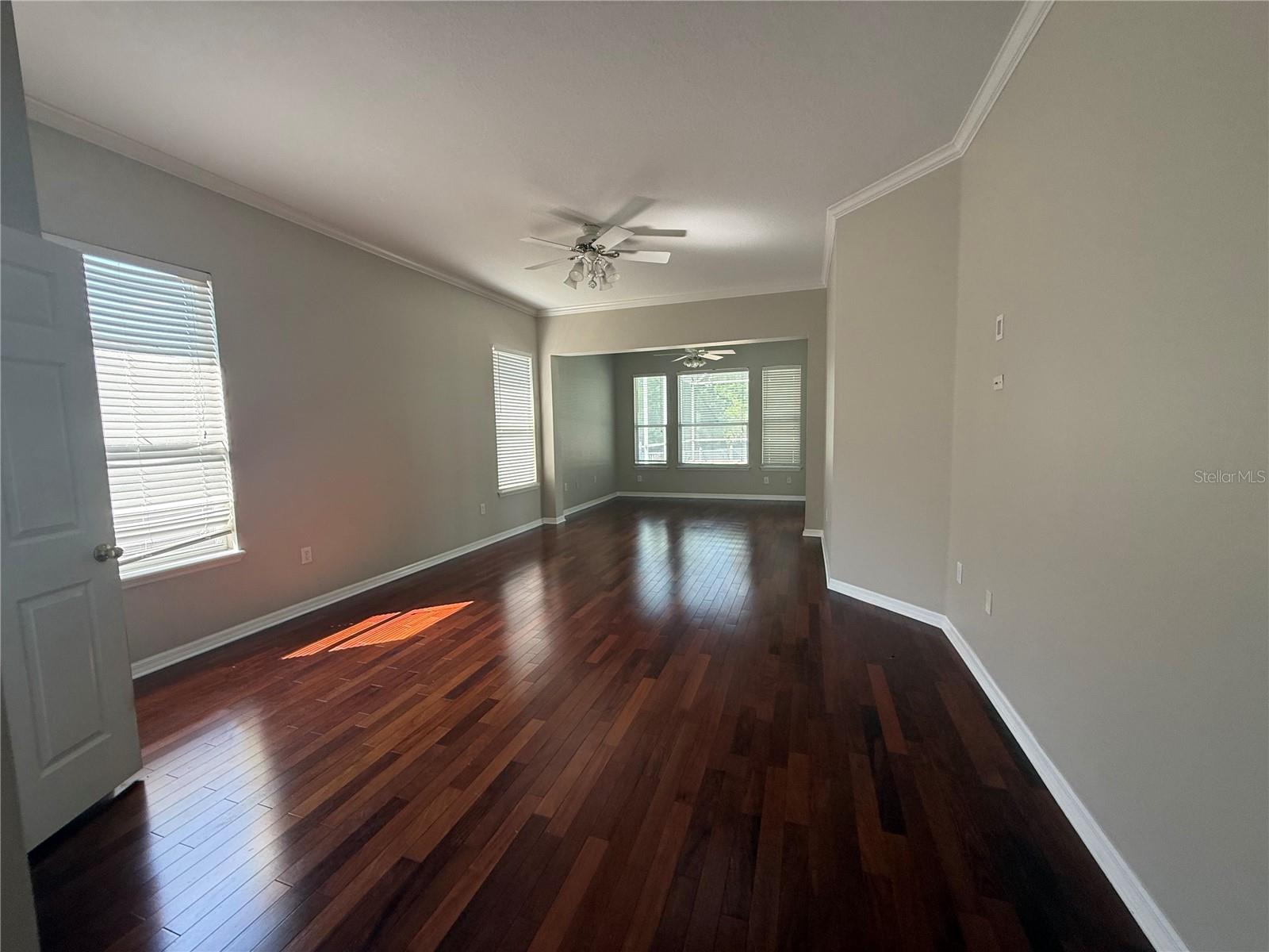 5516 GARDEN ARBOR DR, LUTZ, FL, 33558