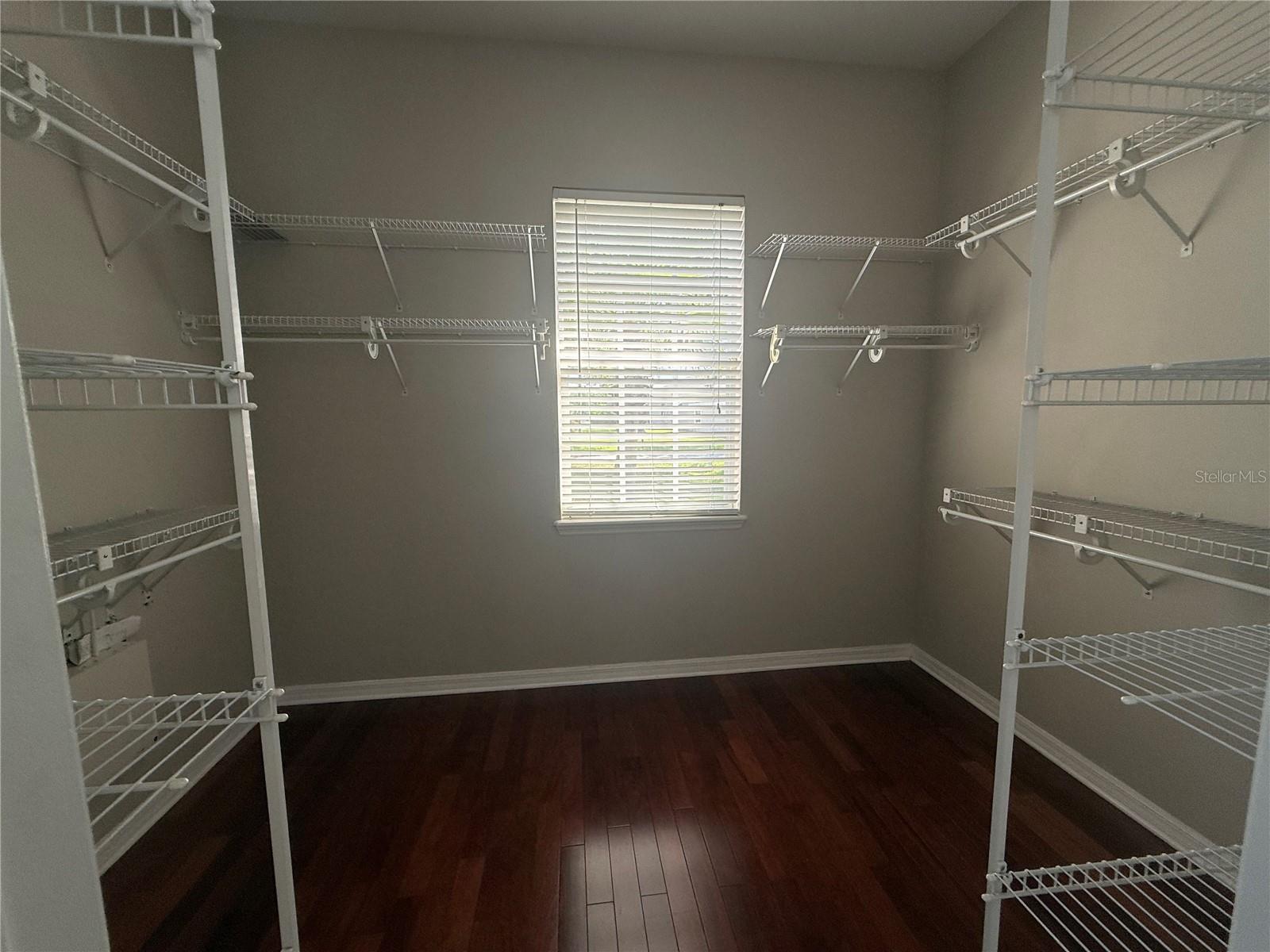 5516 GARDEN ARBOR DR, LUTZ, FL, 33558