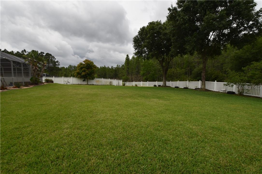 5516 GARDEN ARBOR DR, LUTZ, FL, 33558