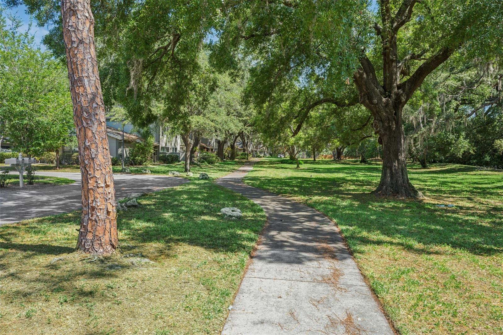 6341 TREETOP CIR #6341, TEMPLE TERRACE, FL, 33617