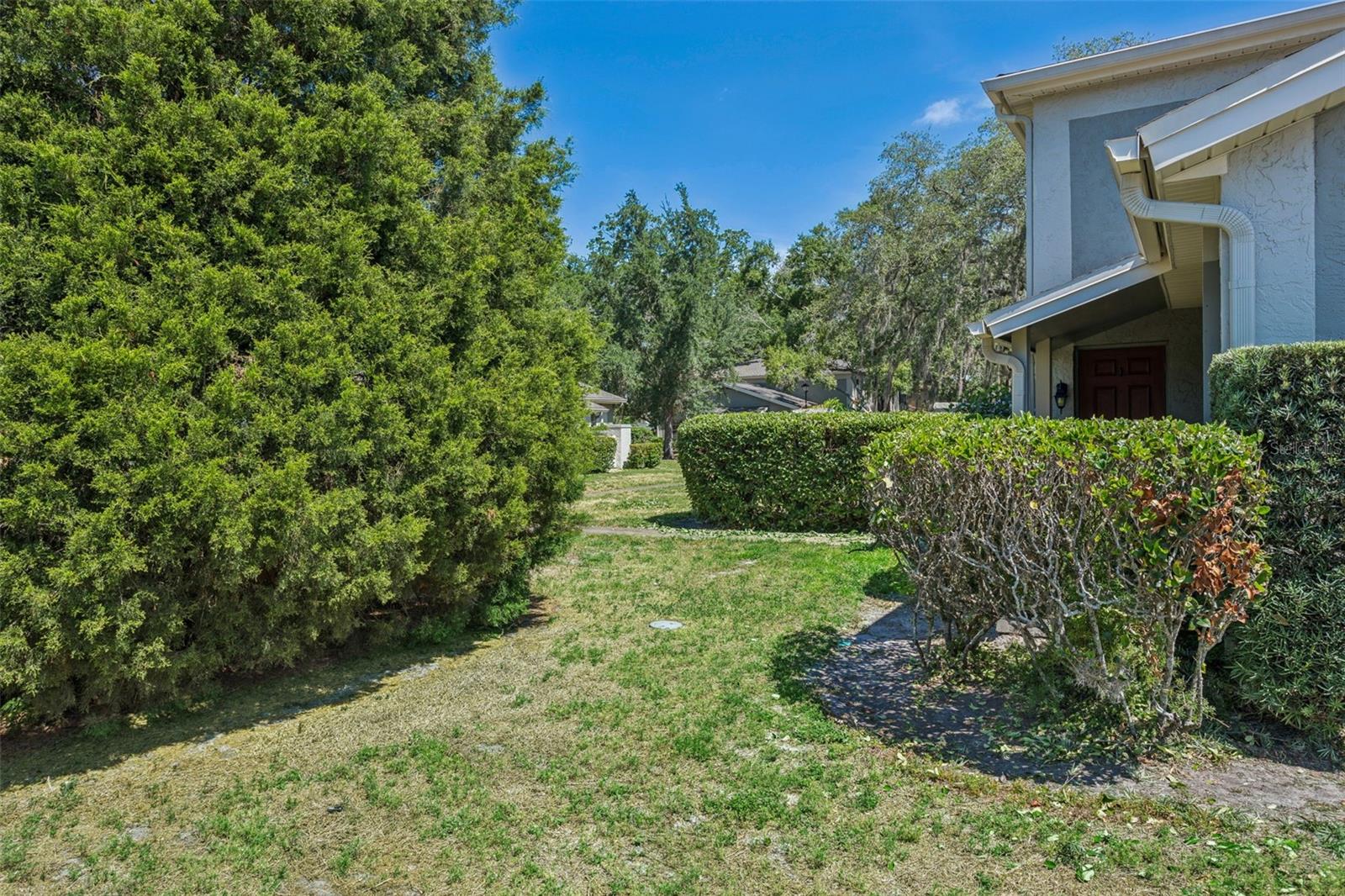6341 TREETOP CIR #6341, TEMPLE TERRACE, FL, 33617