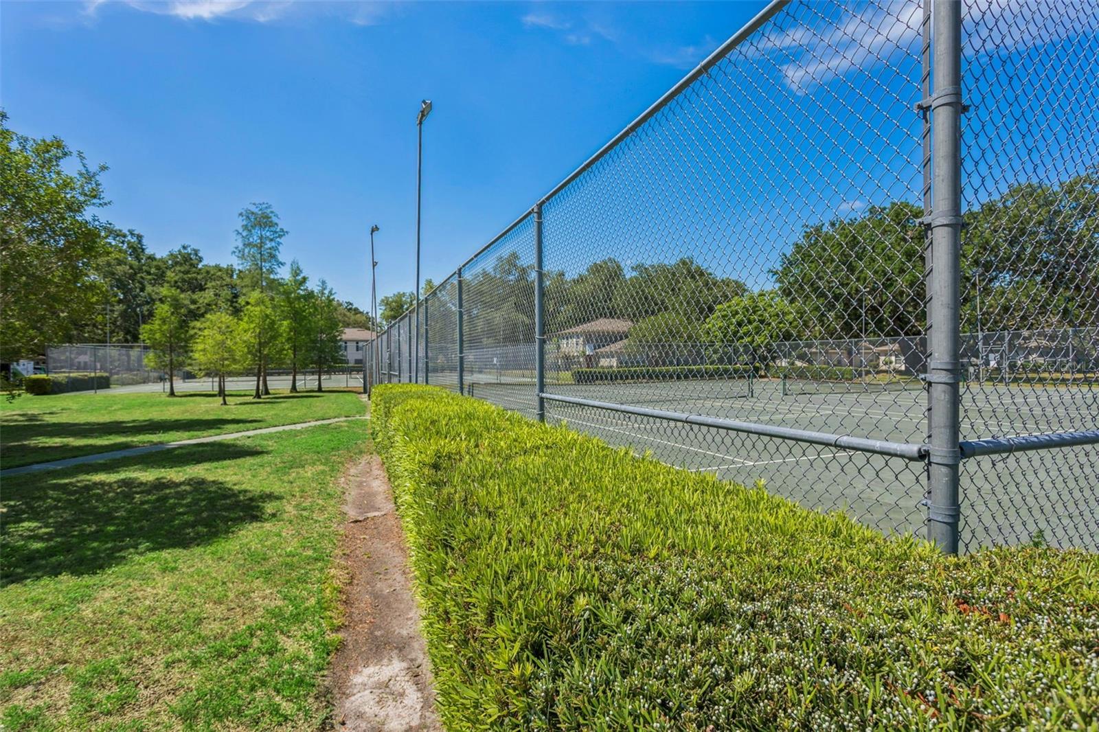 6341 TREETOP CIR #6341, TEMPLE TERRACE, FL, 33617