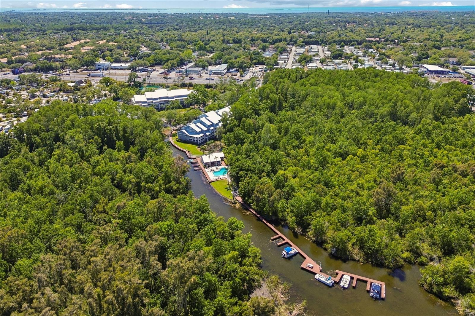 2599 DOLLY BAY DR #302, PALM HARBOR, FL, 34684