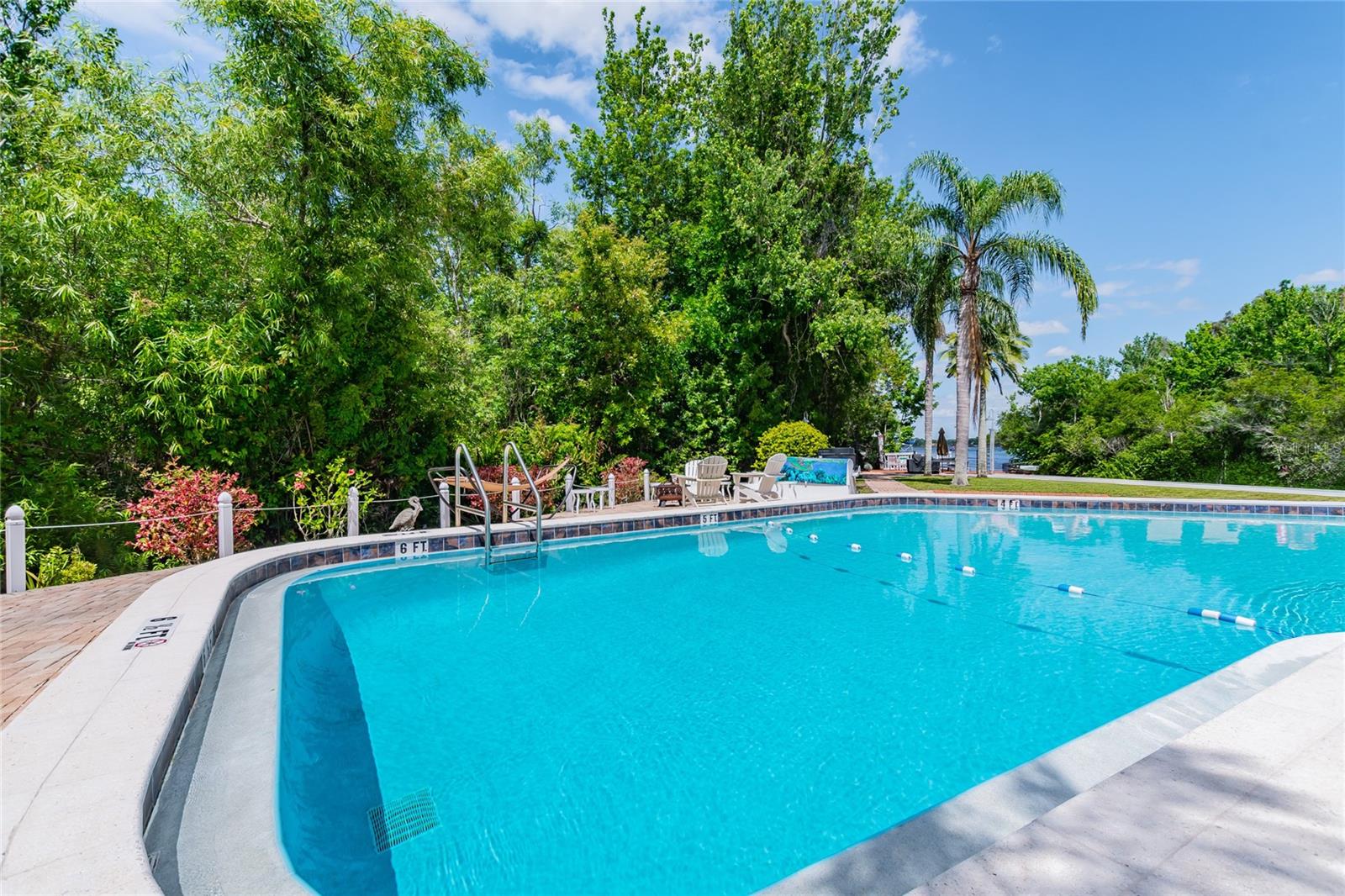 2599 DOLLY BAY DR #302, PALM HARBOR, FL, 34684