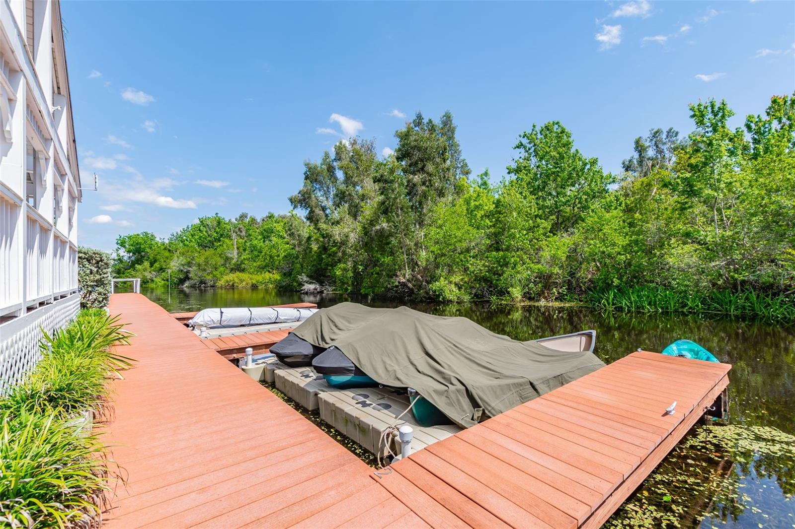 2599 DOLLY BAY DR #302, PALM HARBOR, FL, 34684