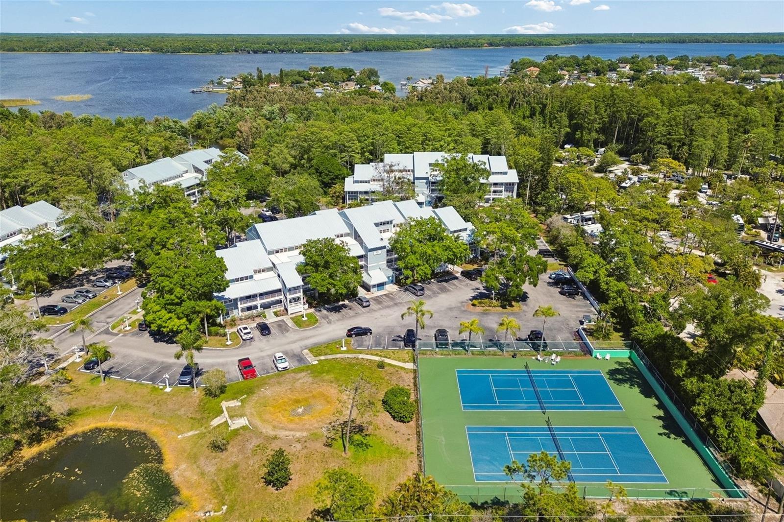 2599 DOLLY BAY DR #302, PALM HARBOR, FL, 34684