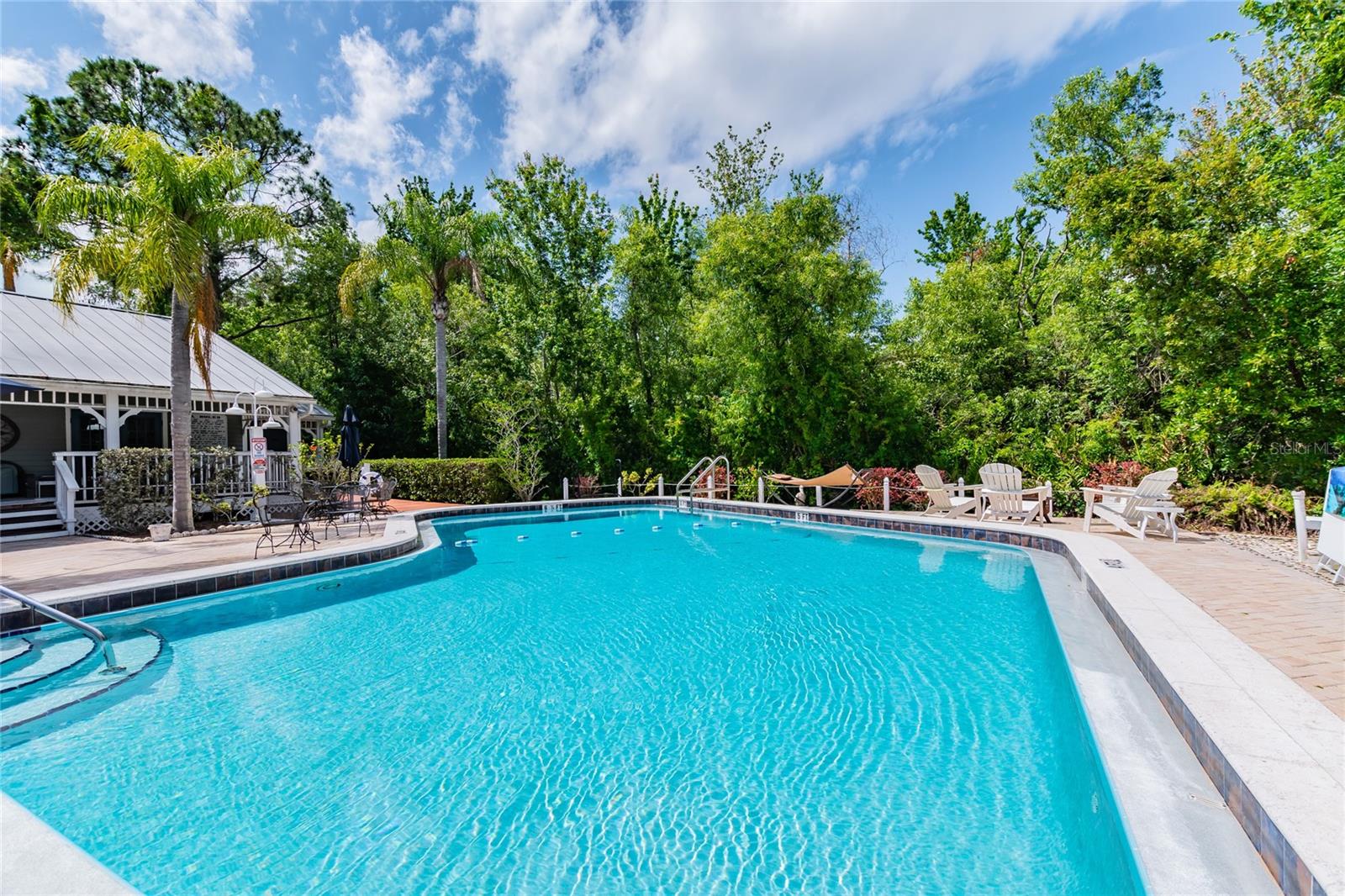 2599 DOLLY BAY DR #302, PALM HARBOR, FL, 34684