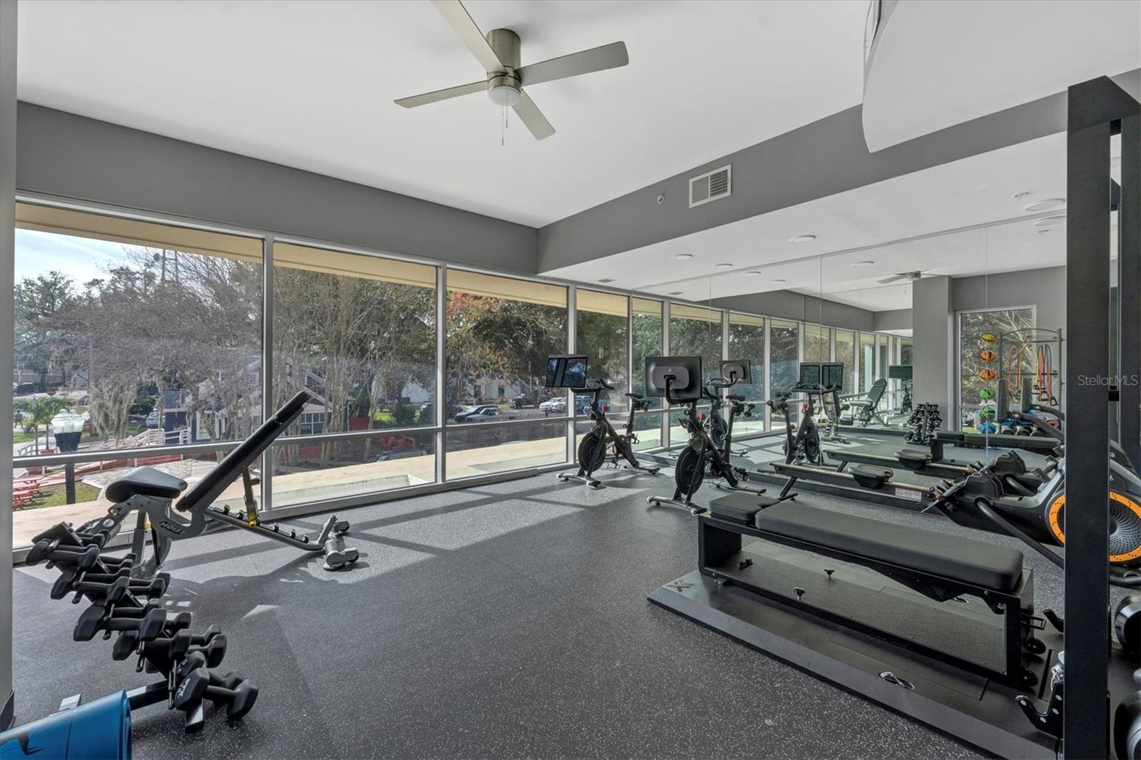 525 E JACKSON ST #305, ORLANDO, FL, 32801