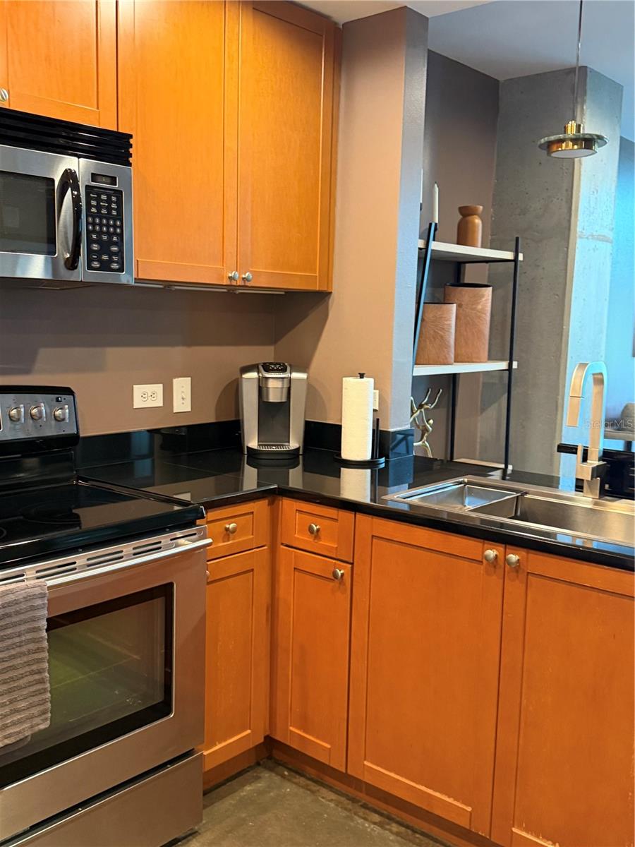 525 E JACKSON ST #305, ORLANDO, FL, 32801