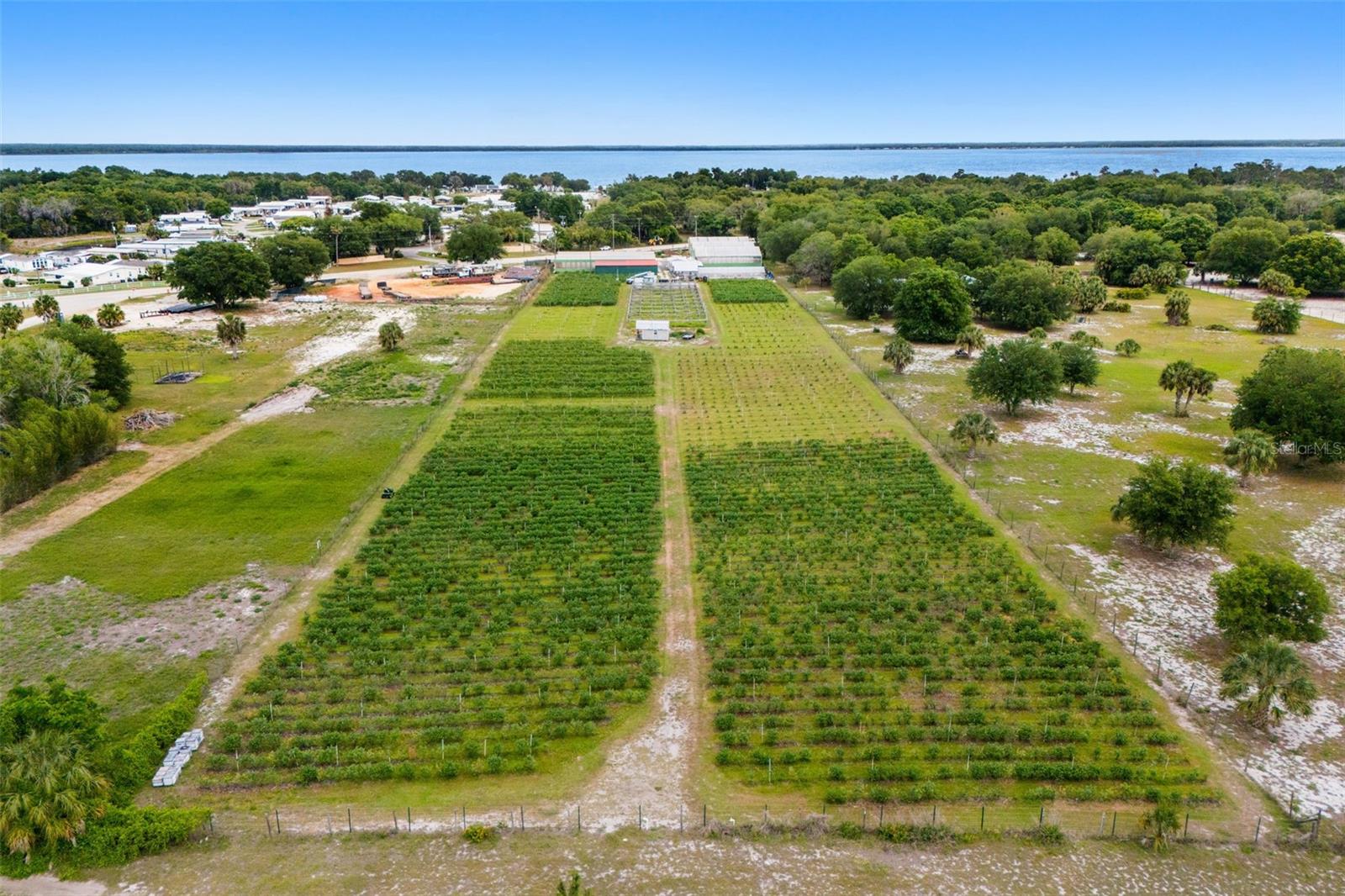 3510 WALK IN WATER RD, LAKE WALES, FL, 33898