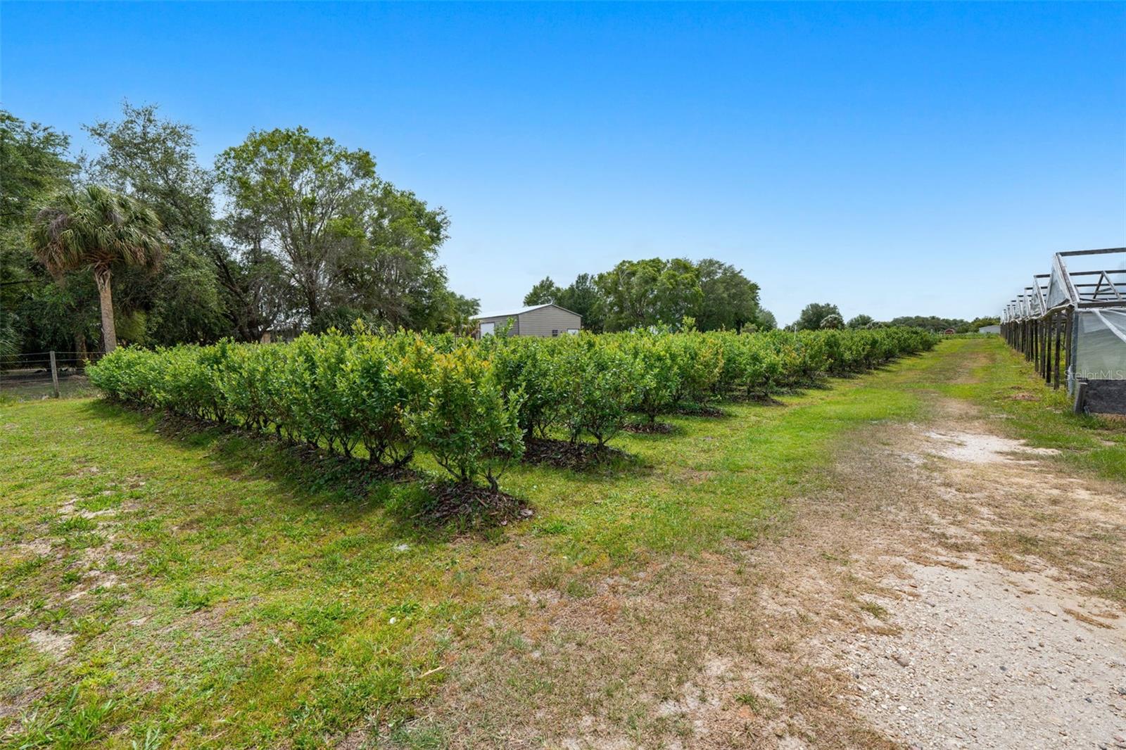 3510 WALK IN WATER RD, LAKE WALES, FL, 33898