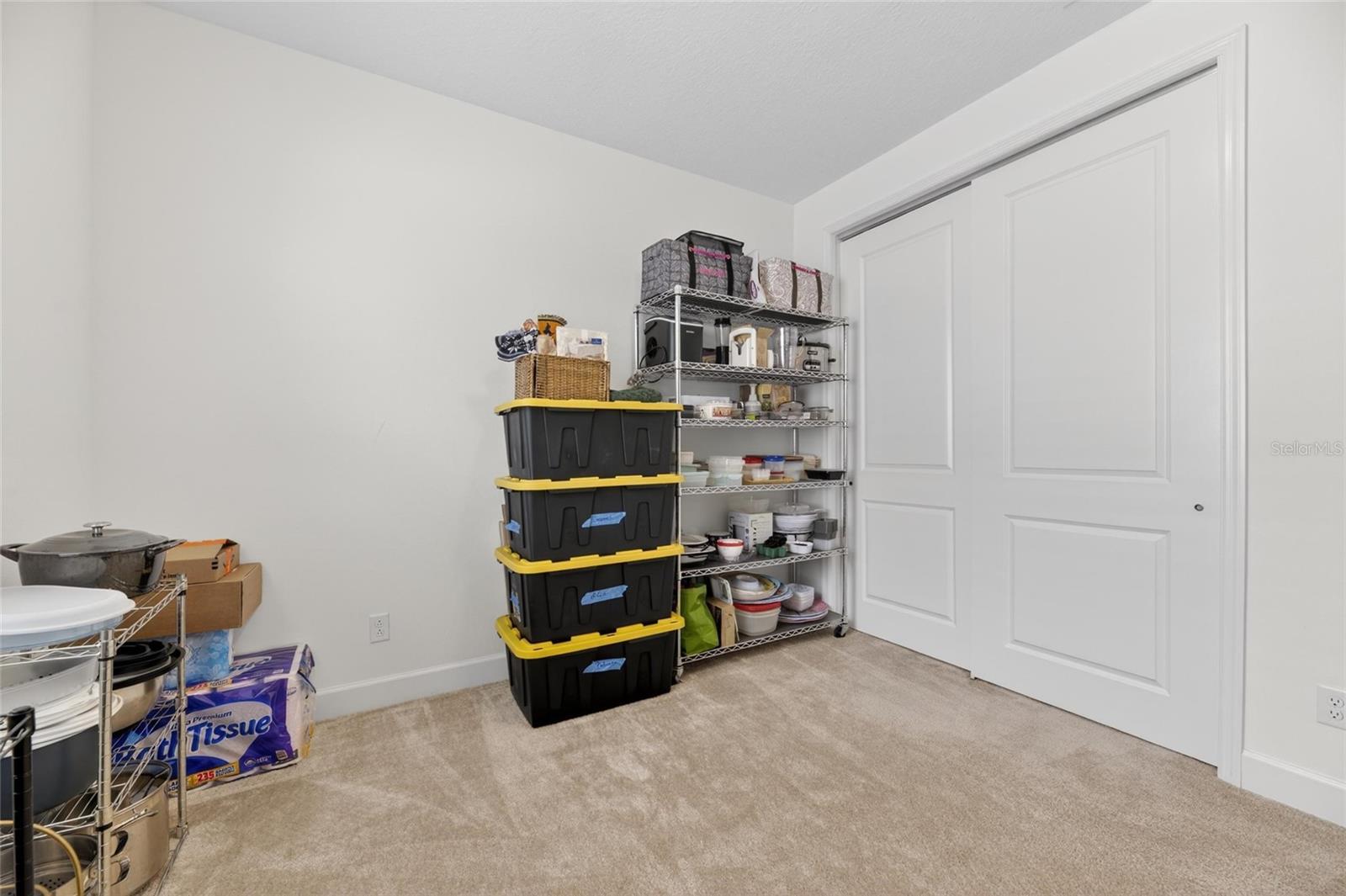 4915 SIENNA ISLES AVE, WIMAUMA, FL, 33598