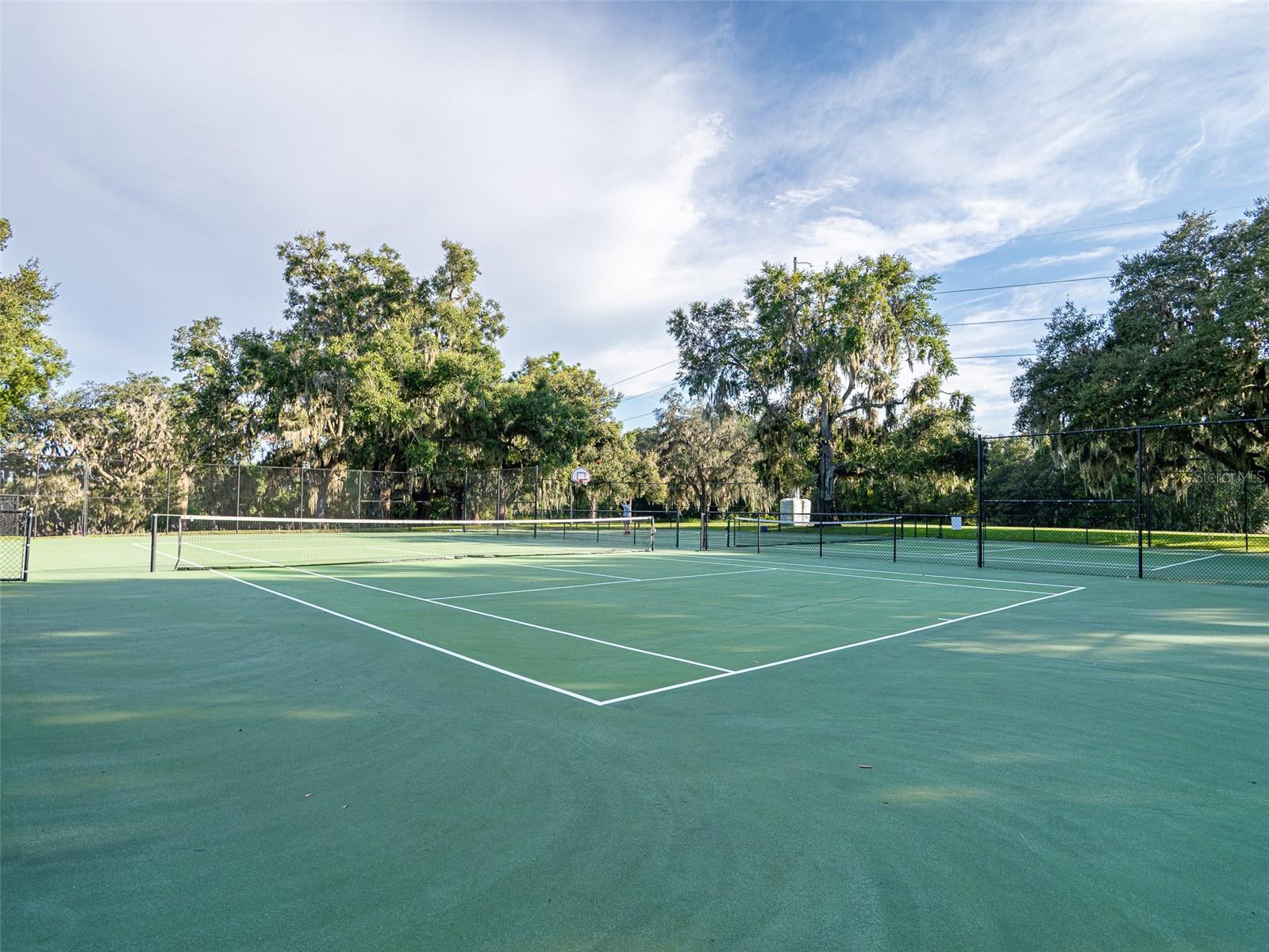 34142 MADIERA LN, SORRENTO, FL, 32776