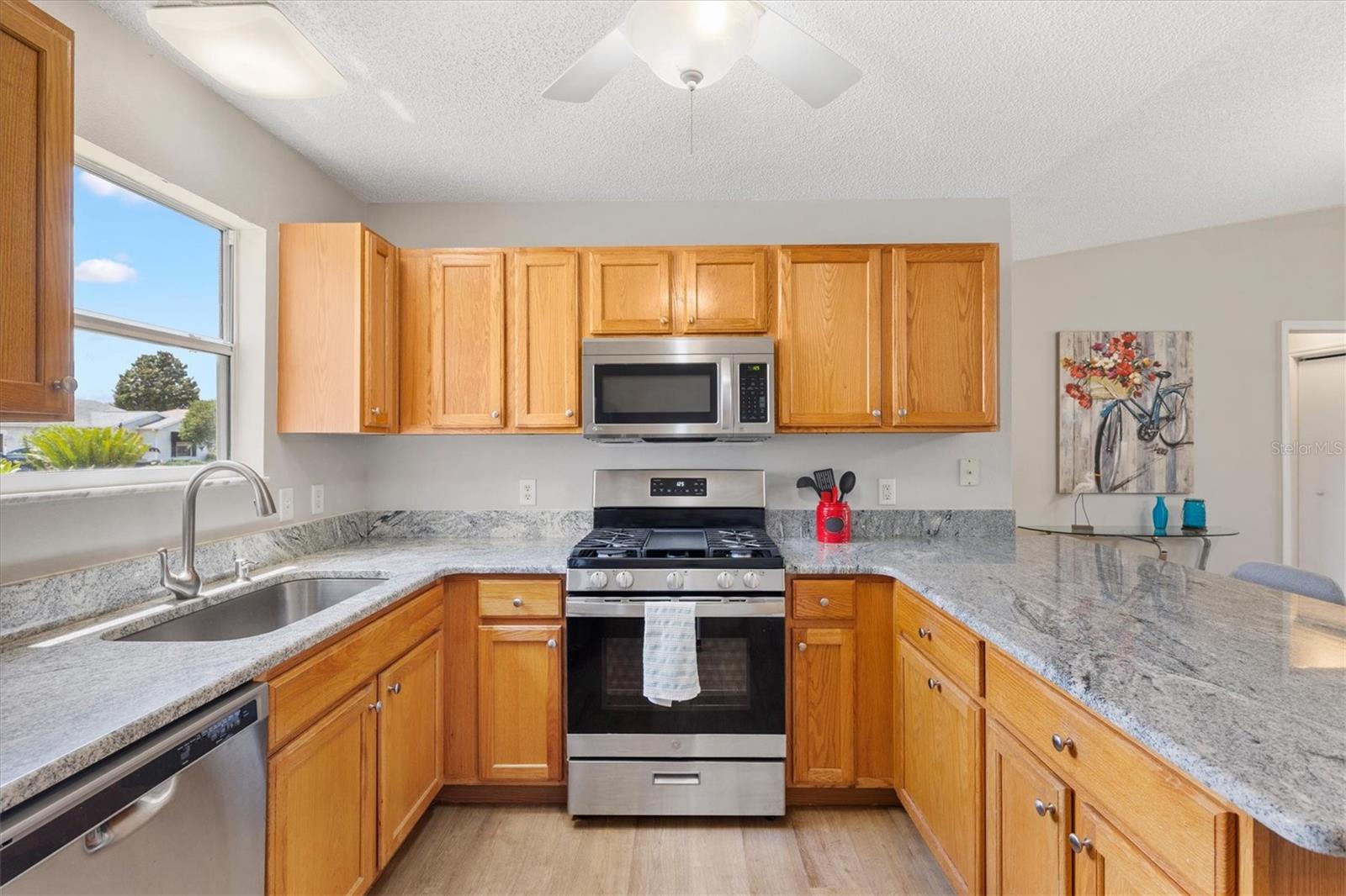 3443 SIPSEY ST, THE VILLAGES, FL, 32162