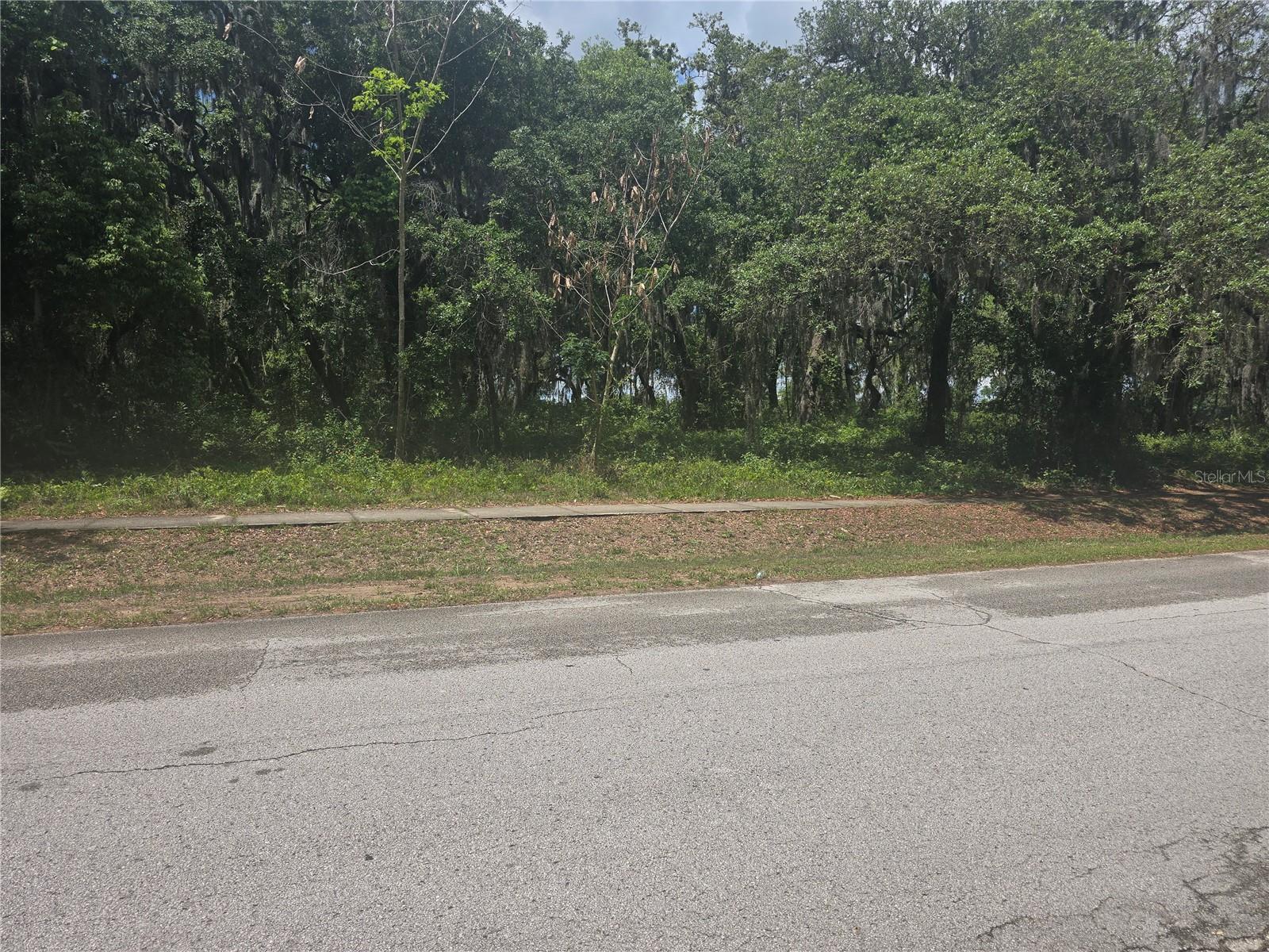 25313 MADISON ST, ASTATULA, FL, 34705