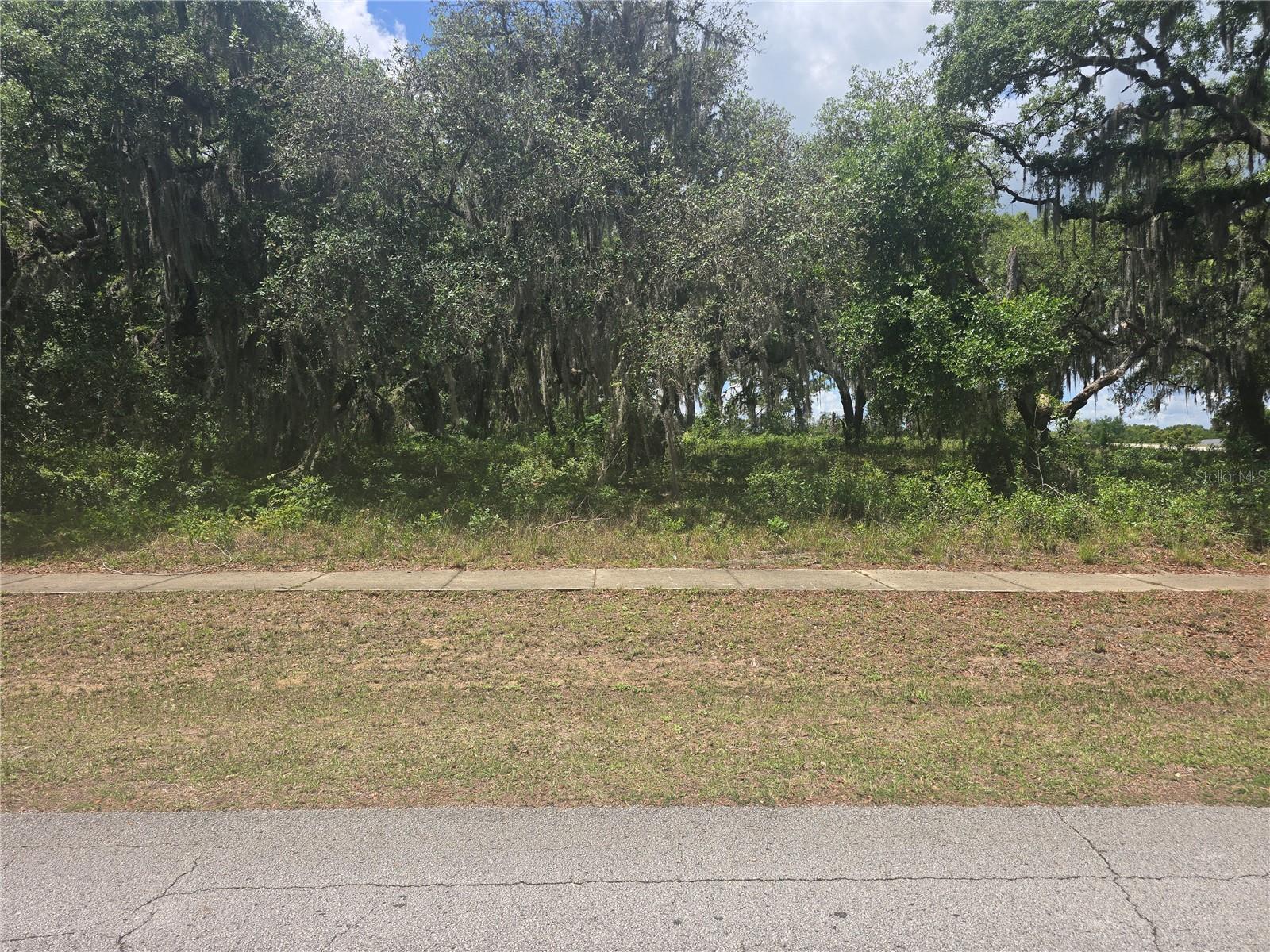 25313 MADISON ST, ASTATULA, FL, 34705