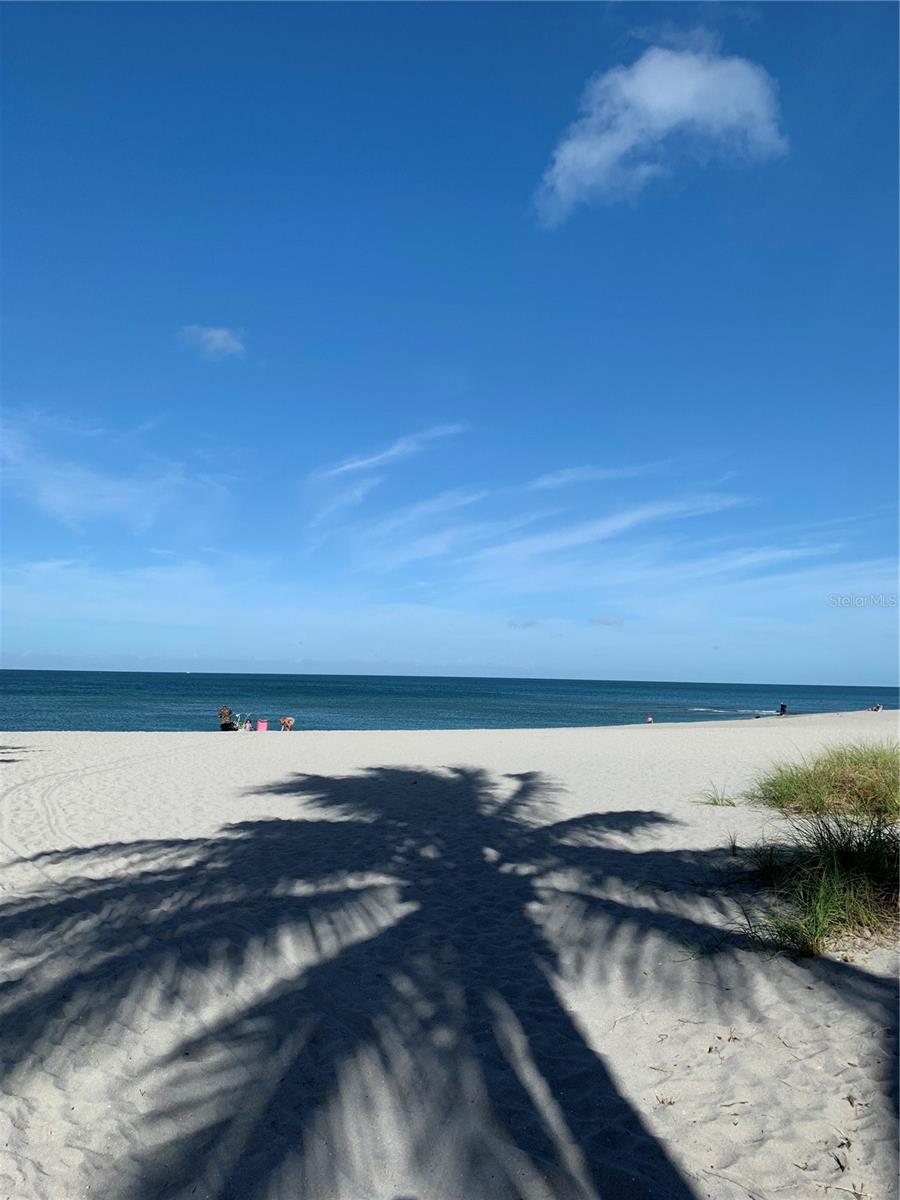 333 ORDUNA DR, NORTH PORT, FL, 34287