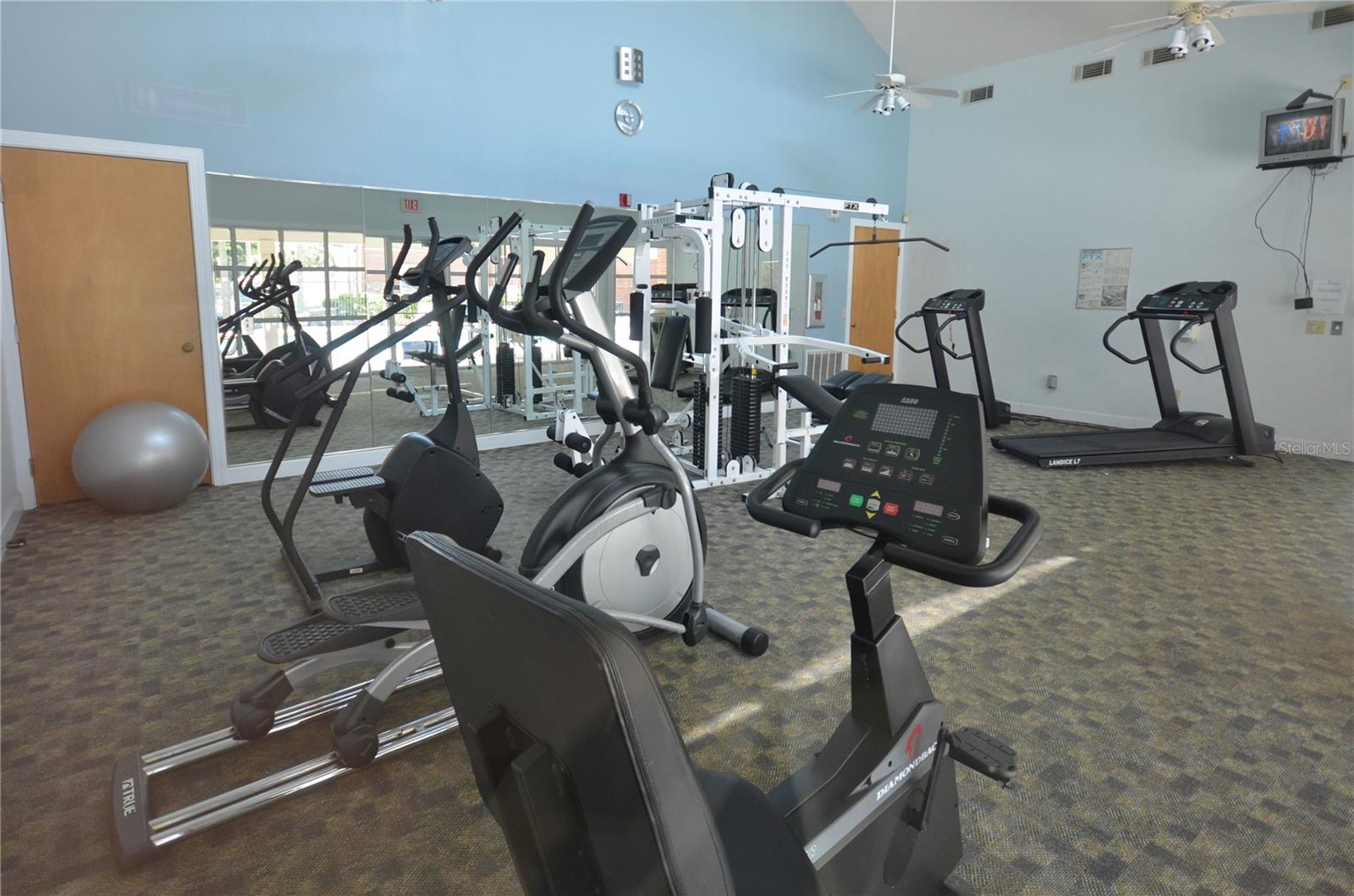 2360 SW ARCHER RD #811, GAINESVILLE, FL, 32608