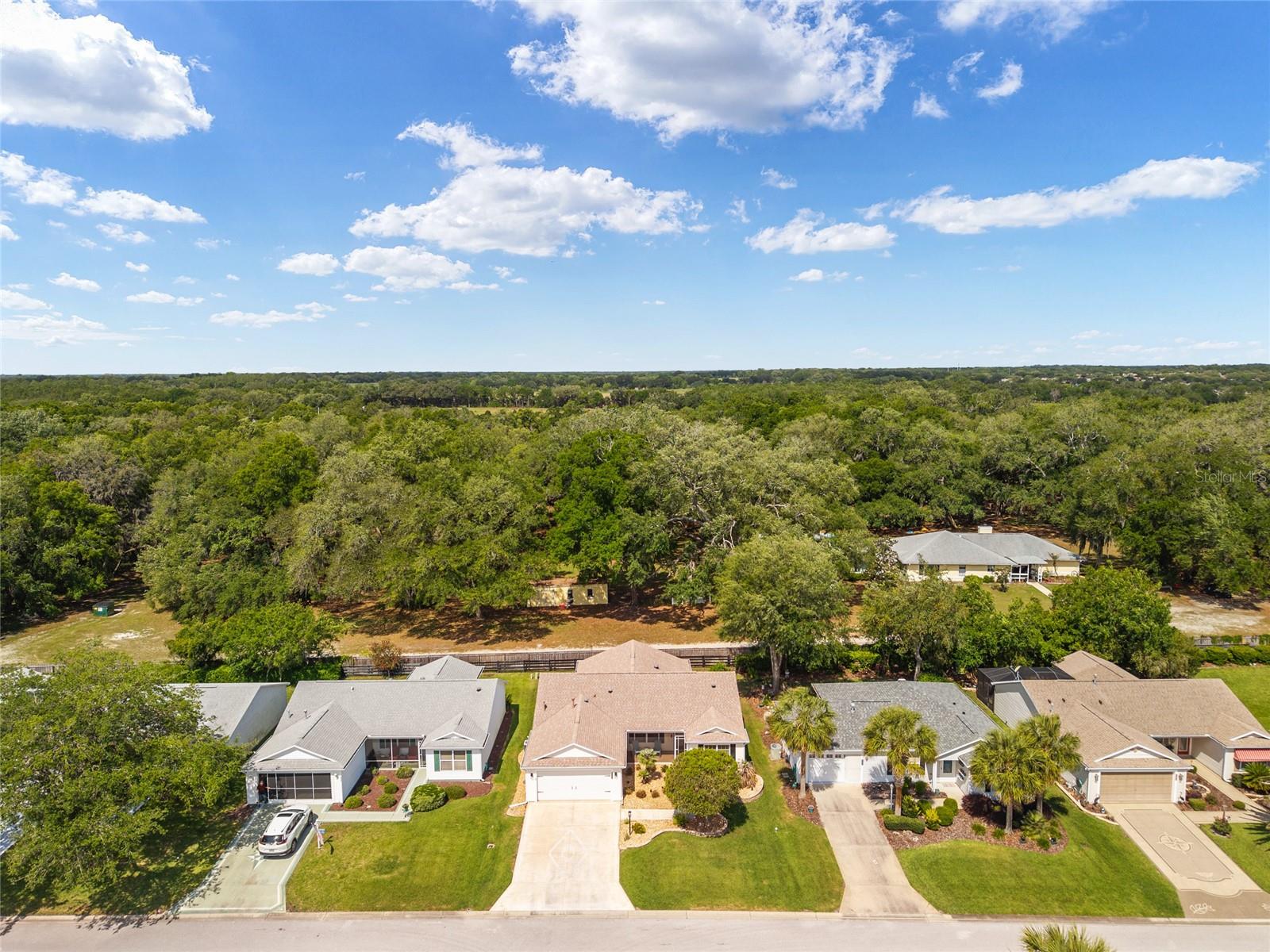 8329 SE 177TH BARTRAM LOOP, THE VILLAGES, FL, 32162