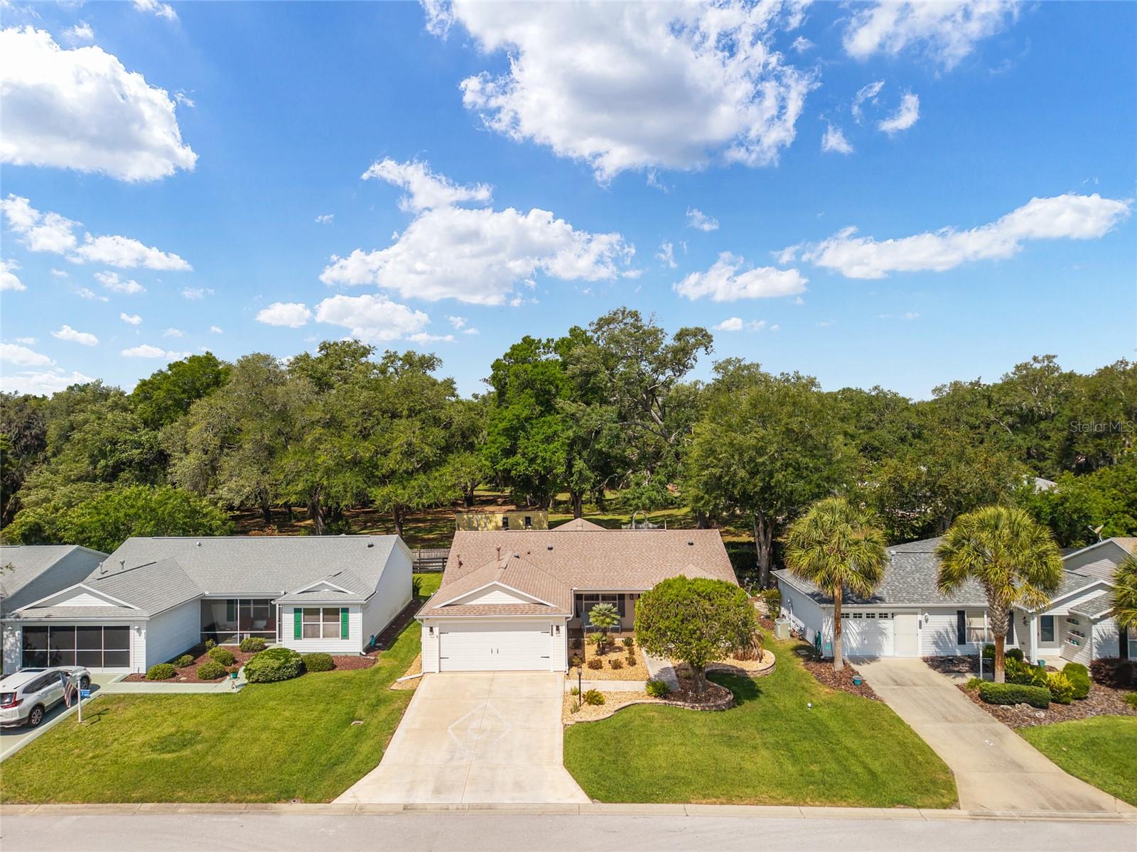 8329 SE 177TH BARTRAM LOOP, THE VILLAGES, FL, 32162