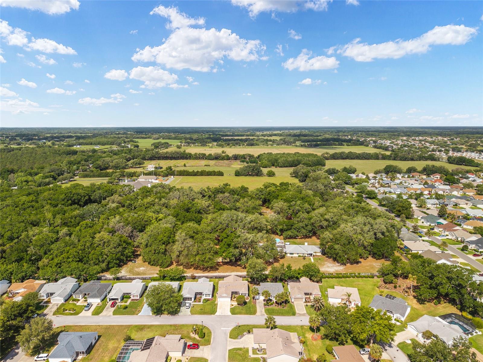 8329 SE 177TH BARTRAM LOOP, THE VILLAGES, FL, 32162