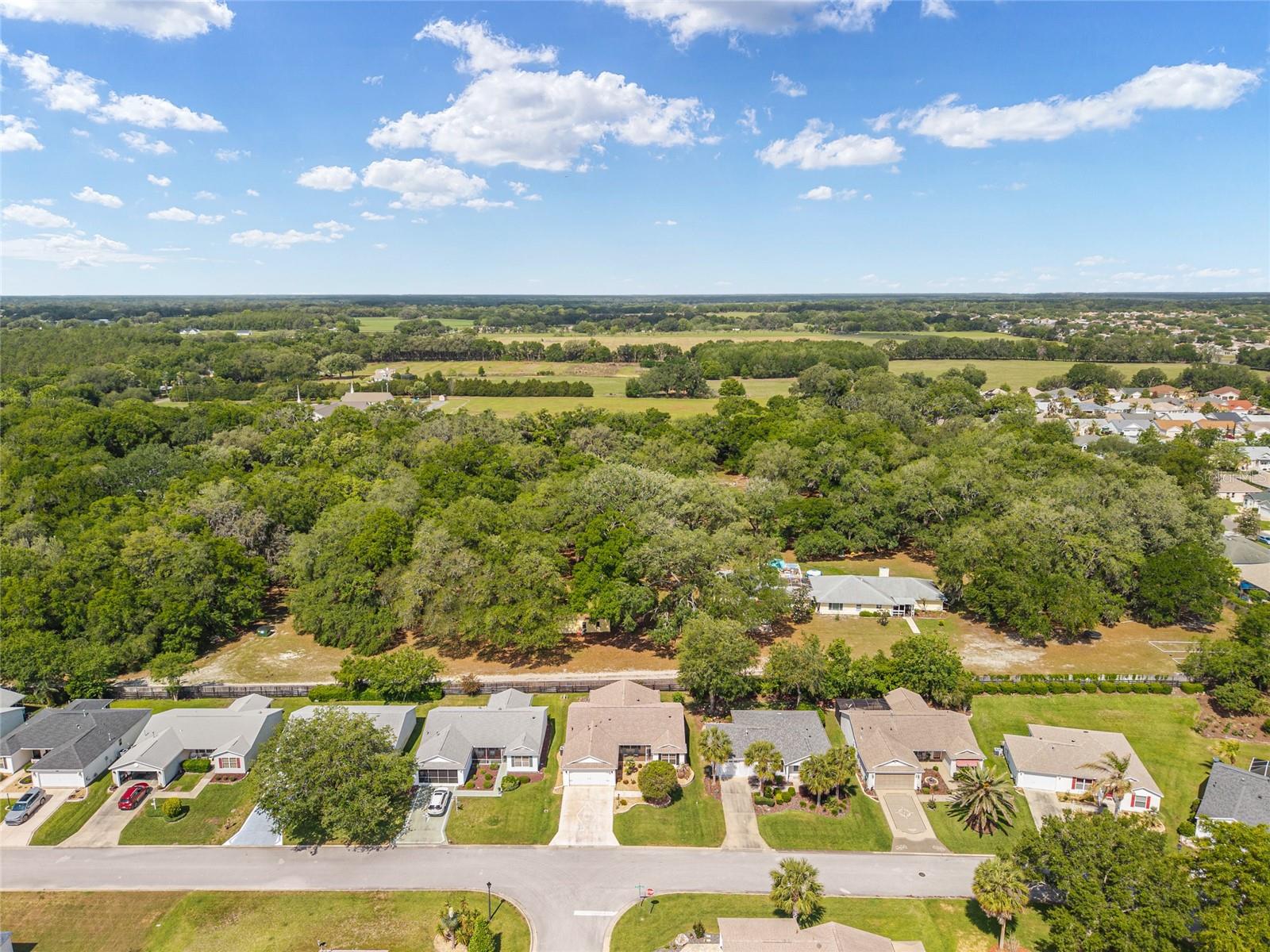 8329 SE 177TH BARTRAM LOOP, THE VILLAGES, FL, 32162