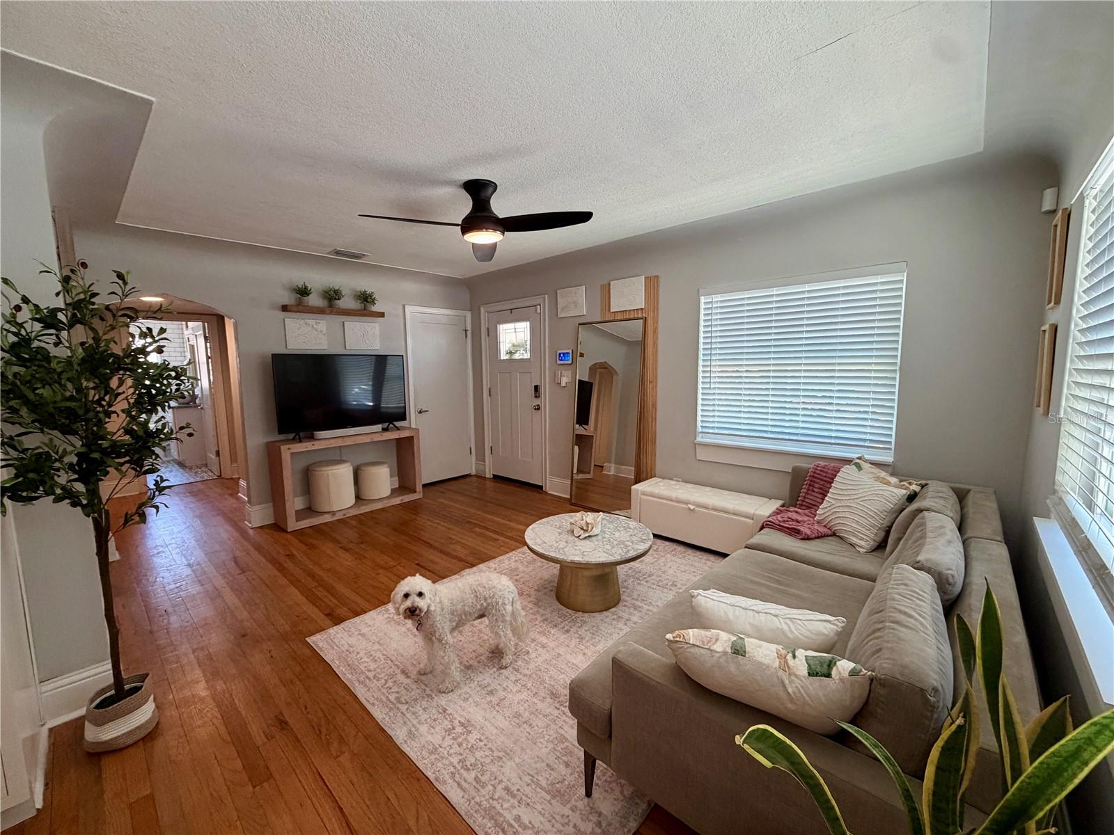 3924 17TH ST N, ST PETERSBURG, FL, 33714
