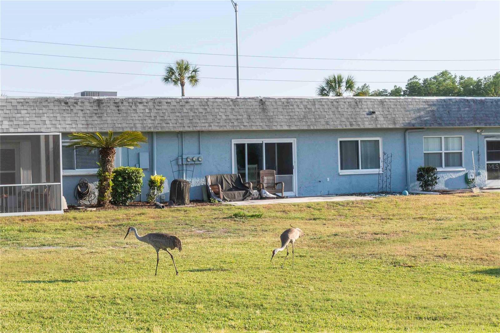 9639 GREENSKEEPER DR #9639, NEW PORT RICHEY, FL, 34655