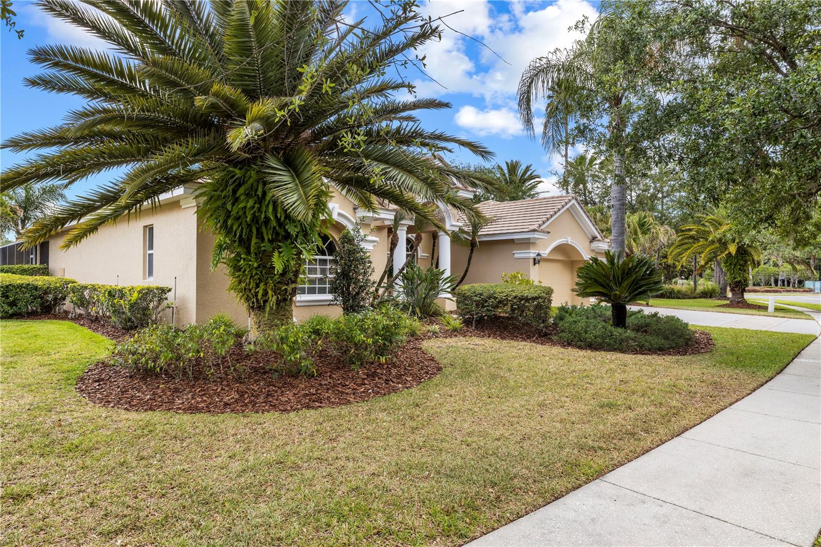 17206 TALENCE CT, TAMPA, FL, 33647