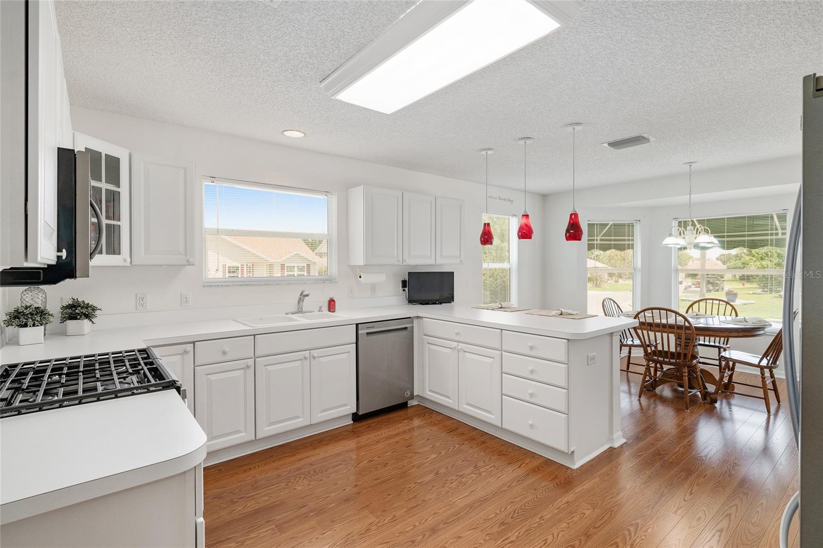 17602 E 82ND WOODLAWN AVE, THE VILLAGES, FL, 32162
