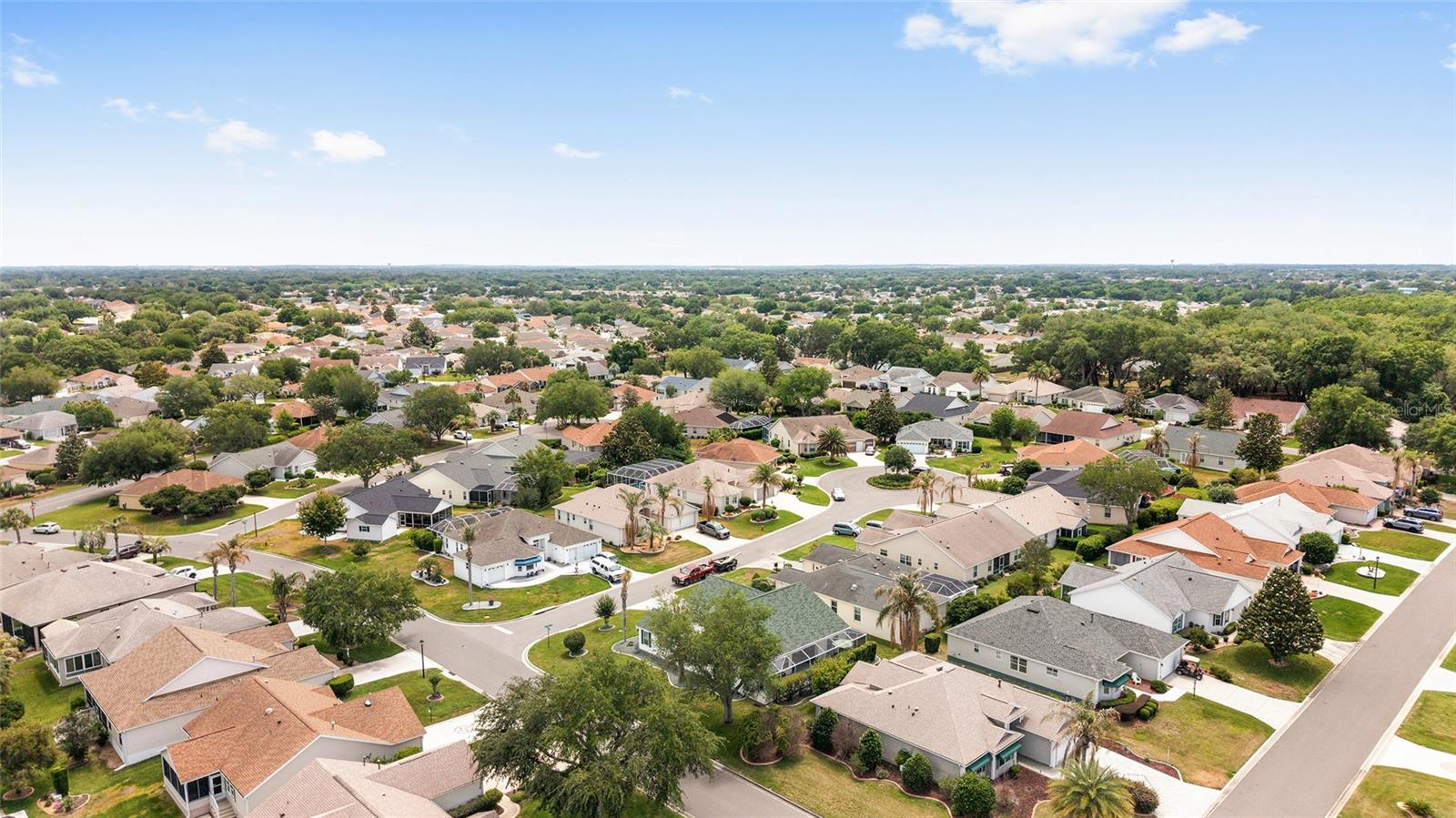 17602 E 82ND WOODLAWN AVE, THE VILLAGES, FL, 32162