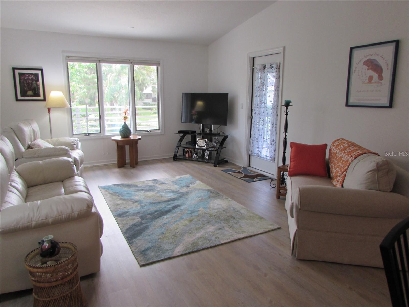 1013 LAKE AVOCA CT, TARPON SPRINGS, FL, 34689
