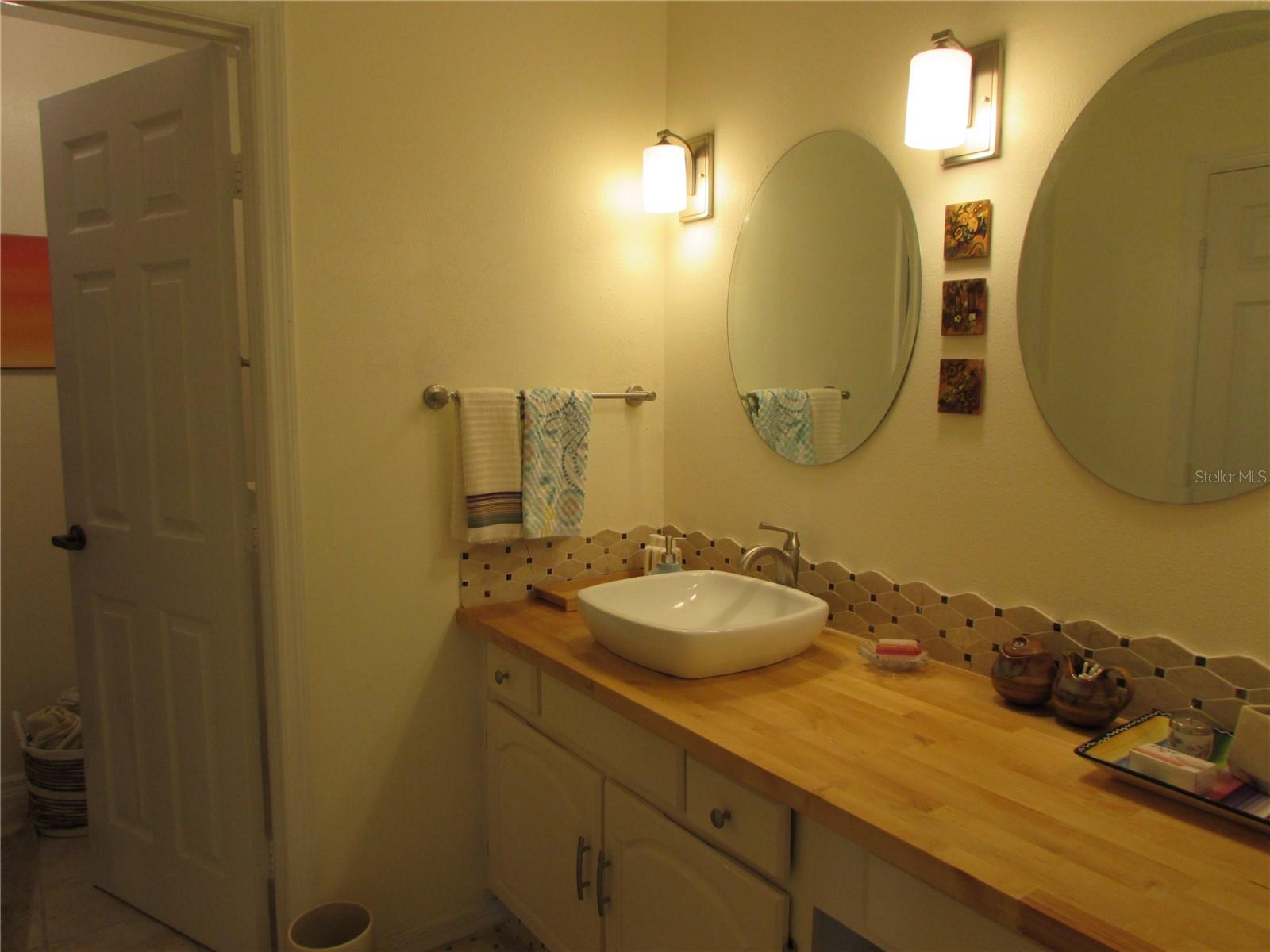 1013 LAKE AVOCA CT, TARPON SPRINGS, FL, 34689