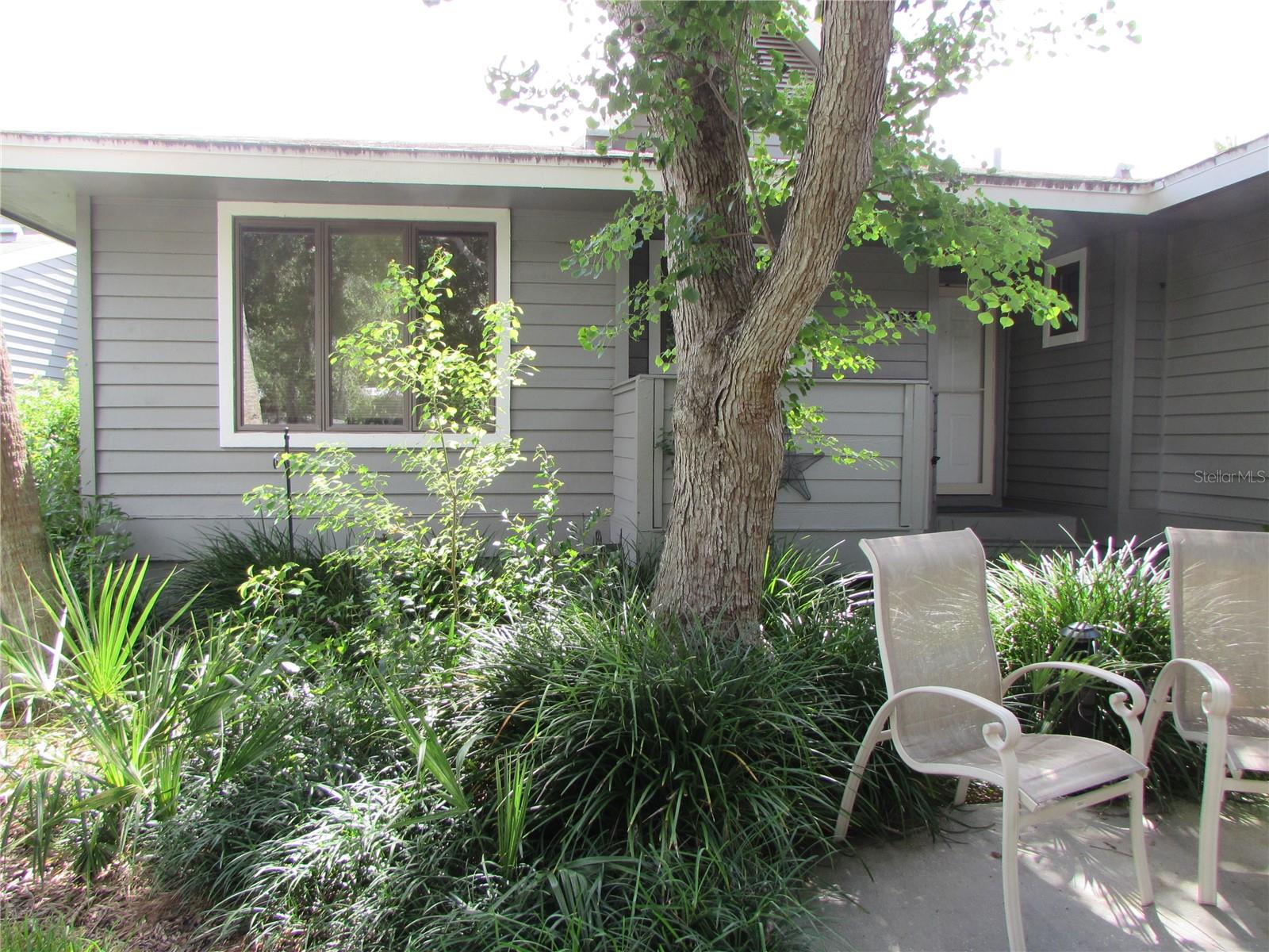 1013 LAKE AVOCA CT, TARPON SPRINGS, FL, 34689
