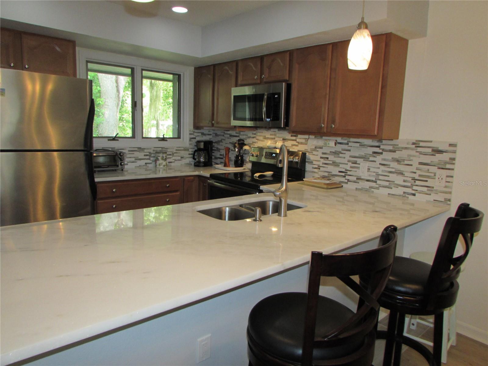 1013 LAKE AVOCA CT, TARPON SPRINGS, FL, 34689