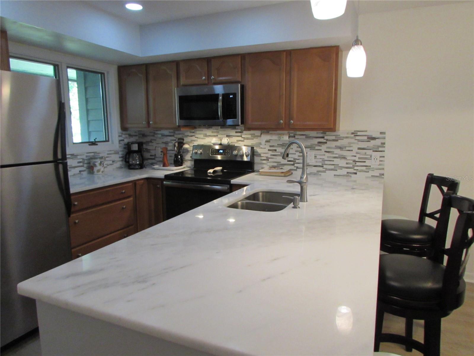 1013 LAKE AVOCA CT, TARPON SPRINGS, FL, 34689