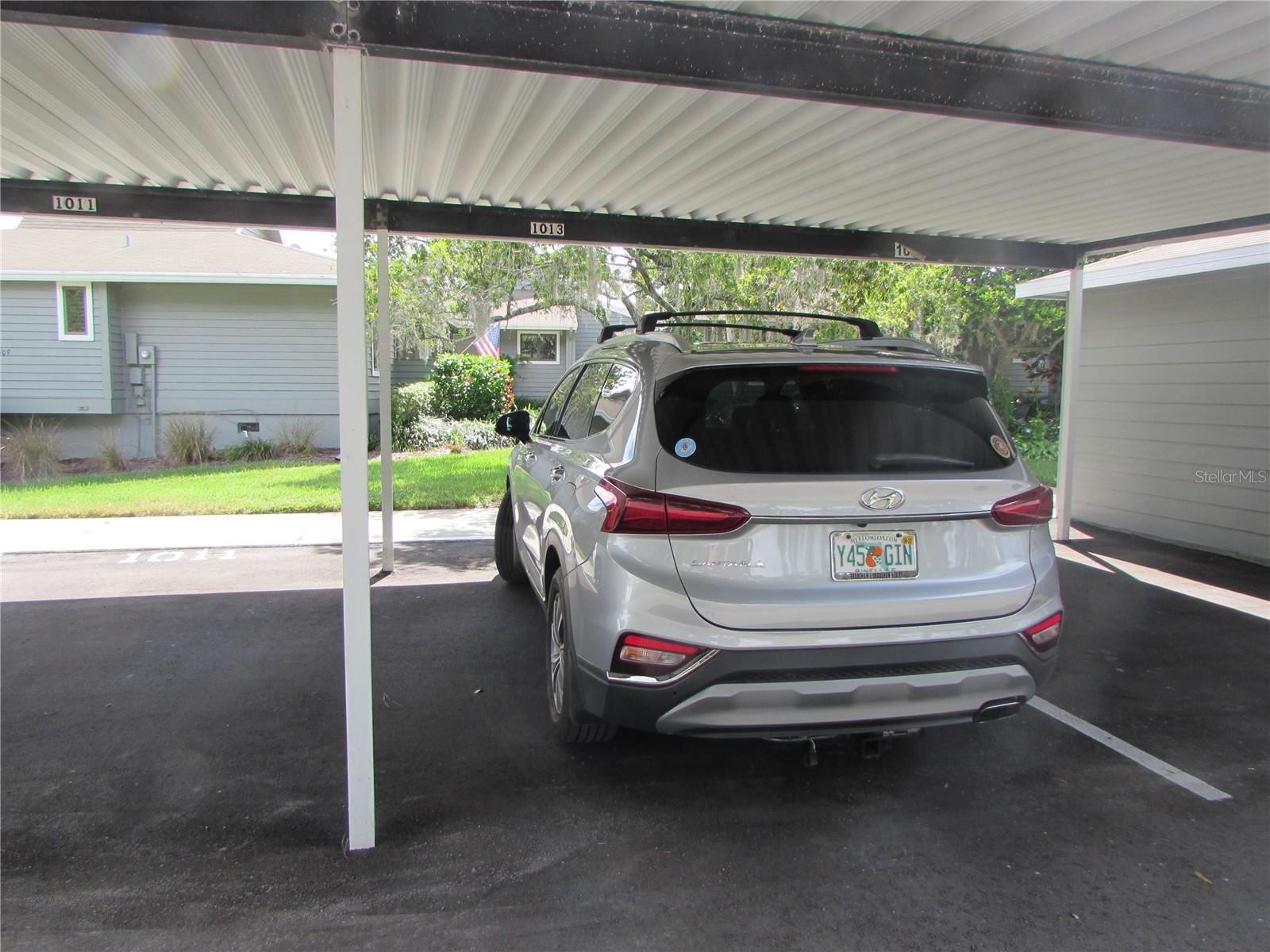 1013 LAKE AVOCA CT, TARPON SPRINGS, FL, 34689