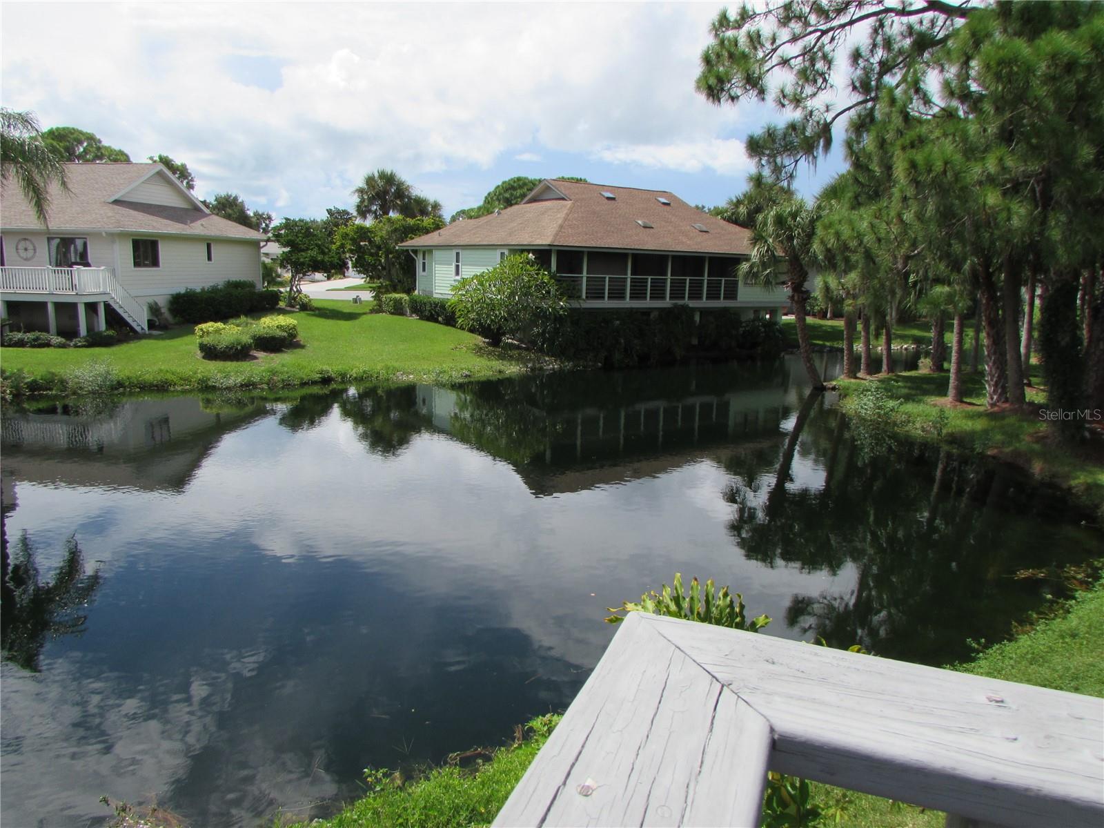1013 LAKE AVOCA CT, TARPON SPRINGS, FL, 34689