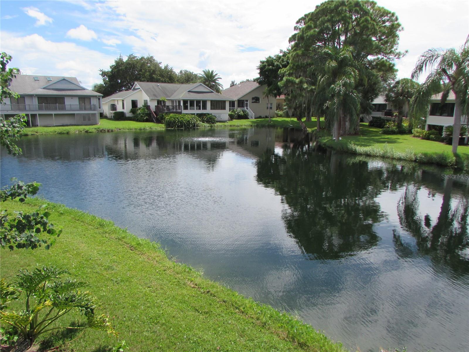 1013 LAKE AVOCA CT, TARPON SPRINGS, FL, 34689