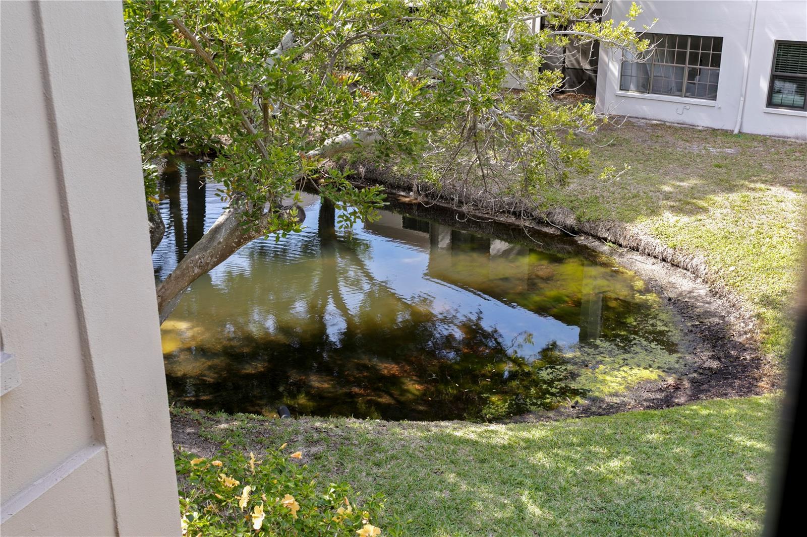 2453 KINGFISHER LN #G202, CLEARWATER, FL, 33762