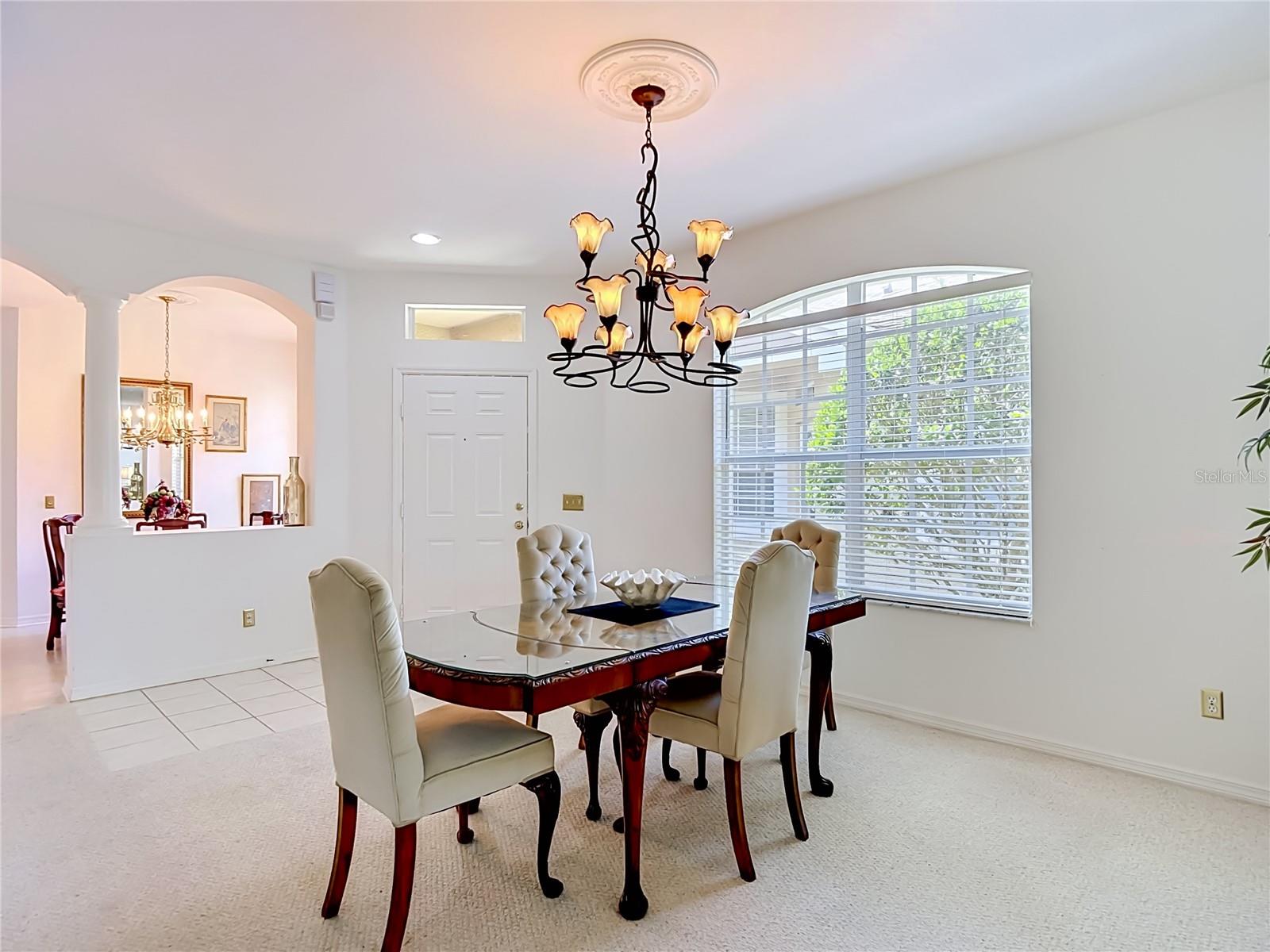 19180 LAKE AUDUBON DR, TAMPA, FL, 33647